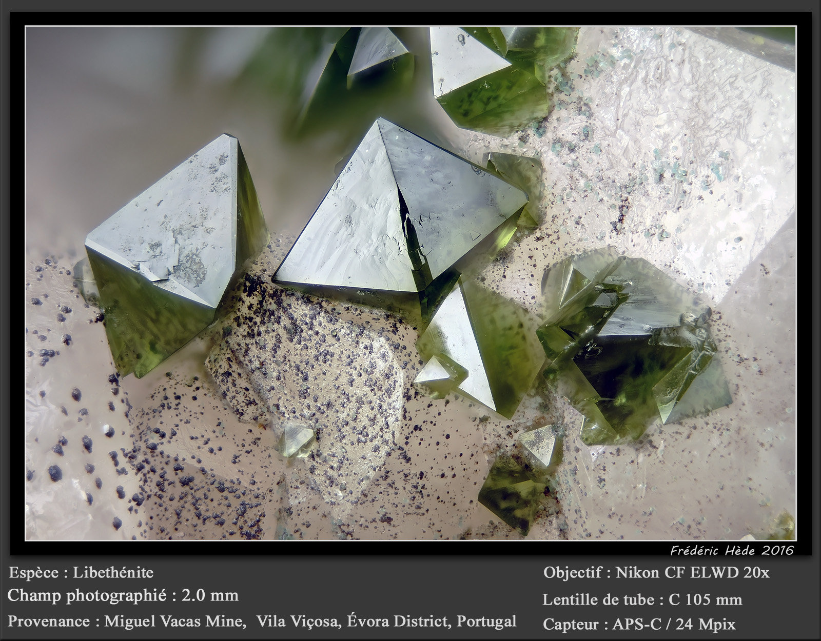 Libethenite and Turquoise
fov 2.0 mm
(Autor: ploum)