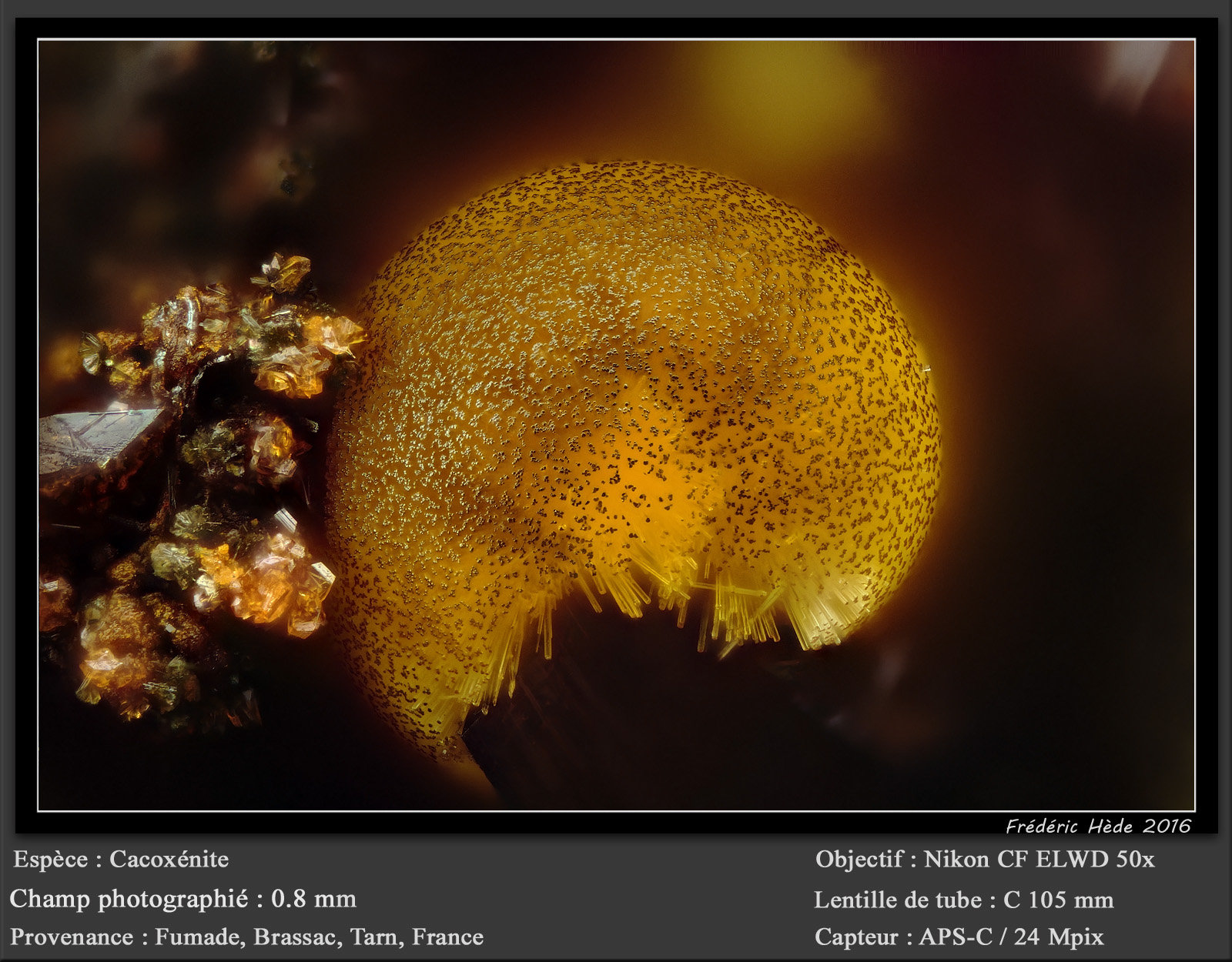 Cacoxenite
fov 0.80 mm
(Autor: ploum)