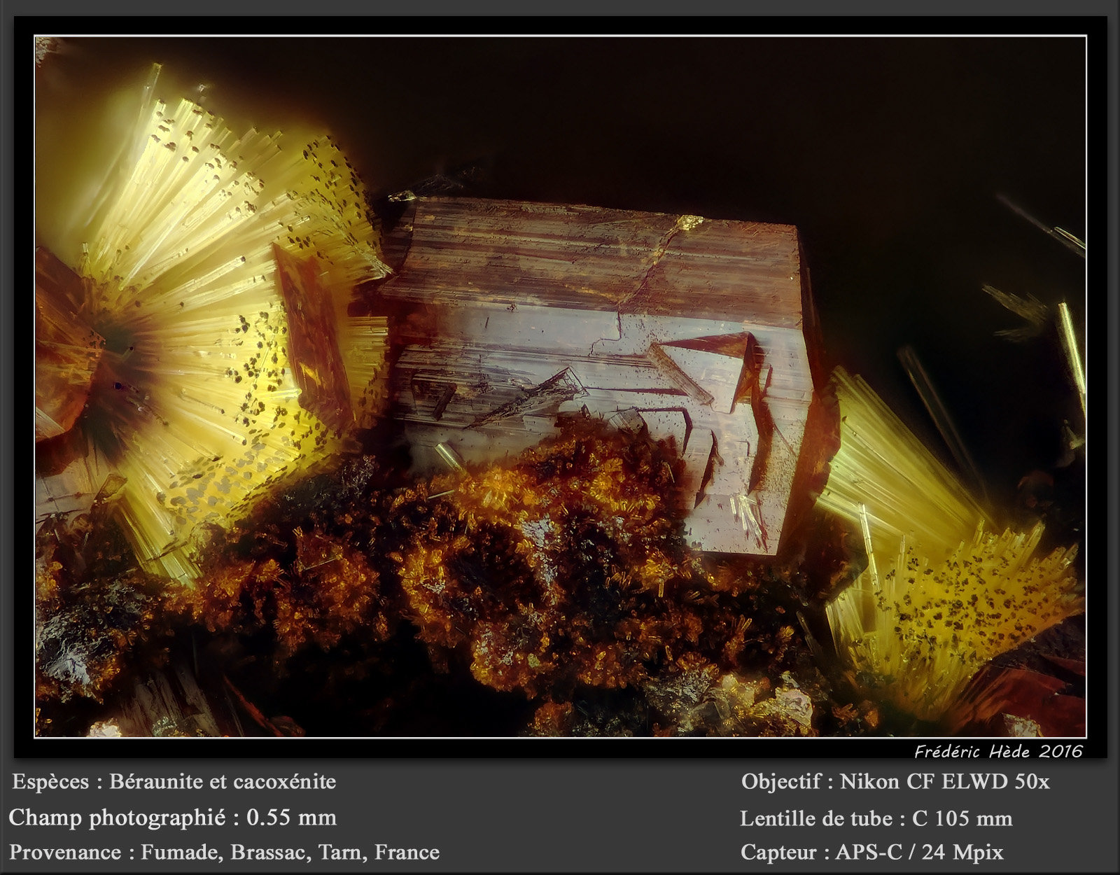 Beraunite and Cacoxenite
fov 0.55 mm
(Autor: ploum)