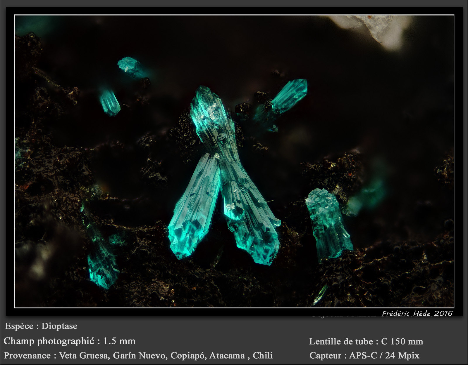 Dioptase
fov 1.5 mm
(Autor: ploum)