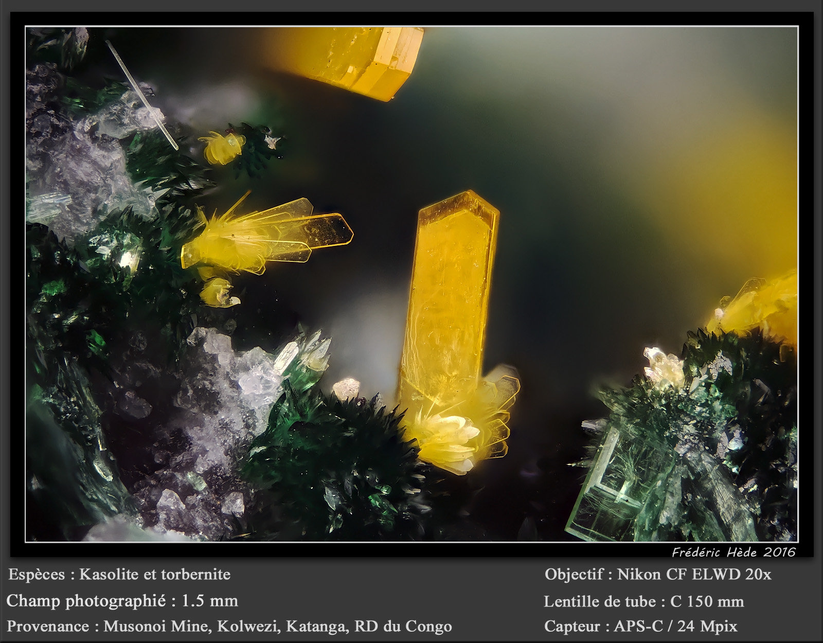 Kasolite
fov 1.5 mm
(Autor: ploum)