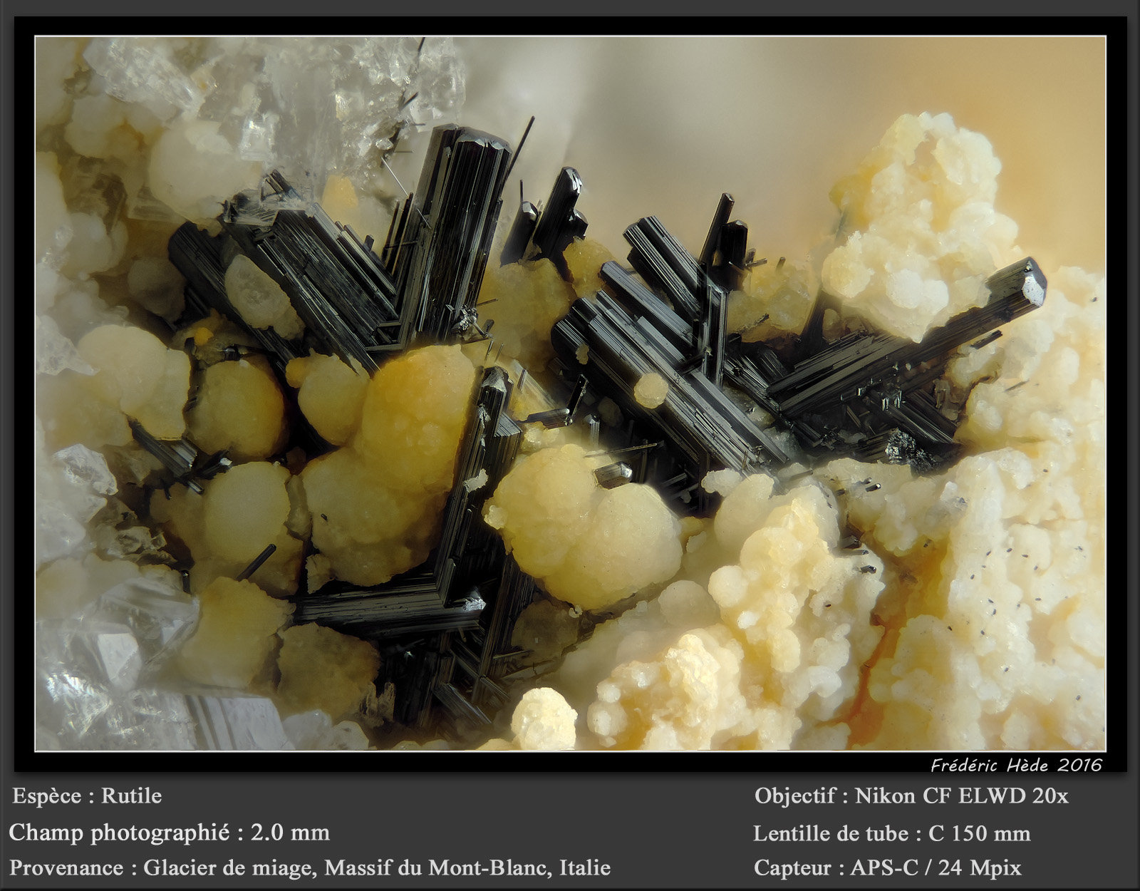 Rutile and Stilbite
fov 2.0 mm
(Autor: ploum)