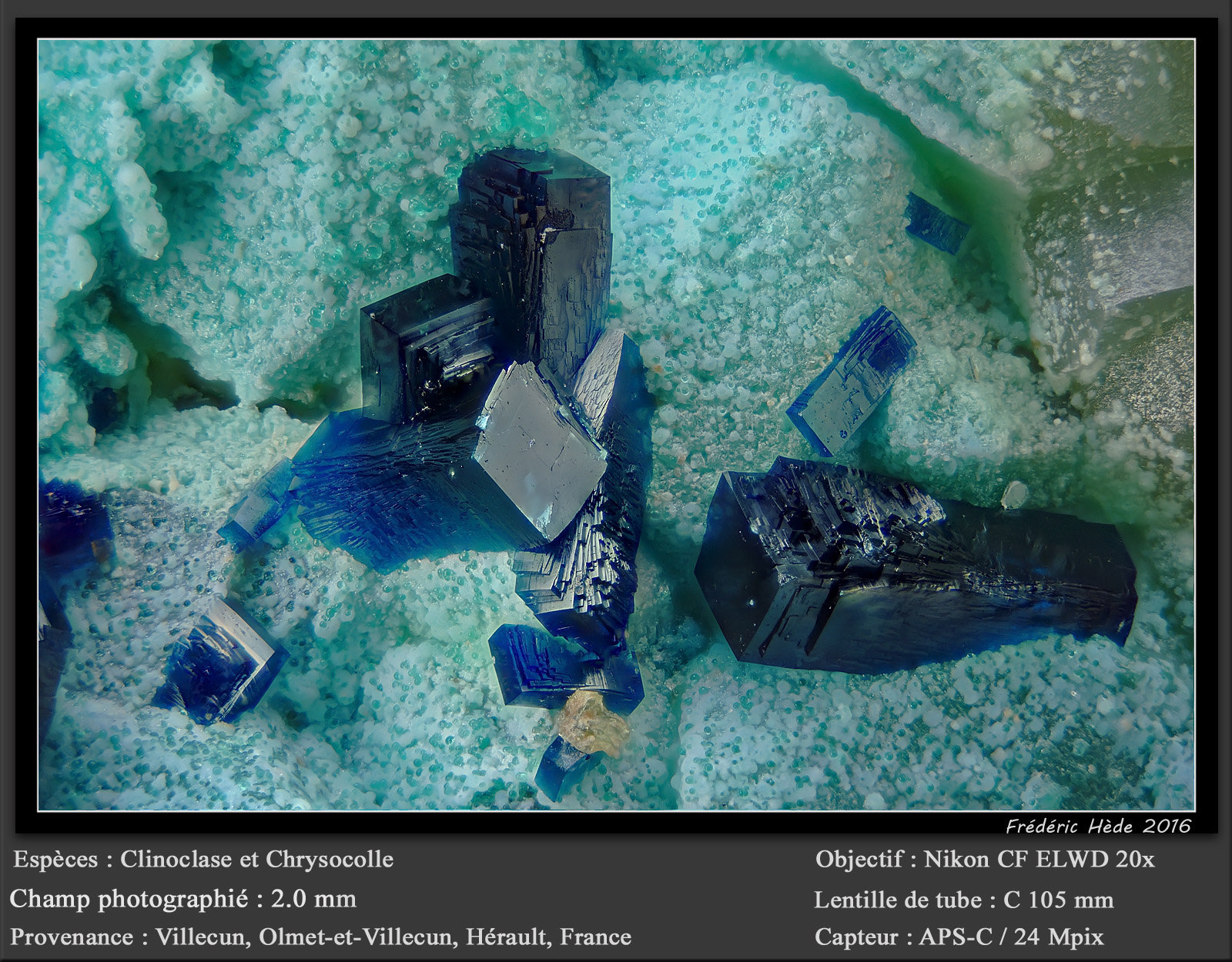 Clinoclase on Chrysocolla
fov 2.0 mm
(Autor: ploum)