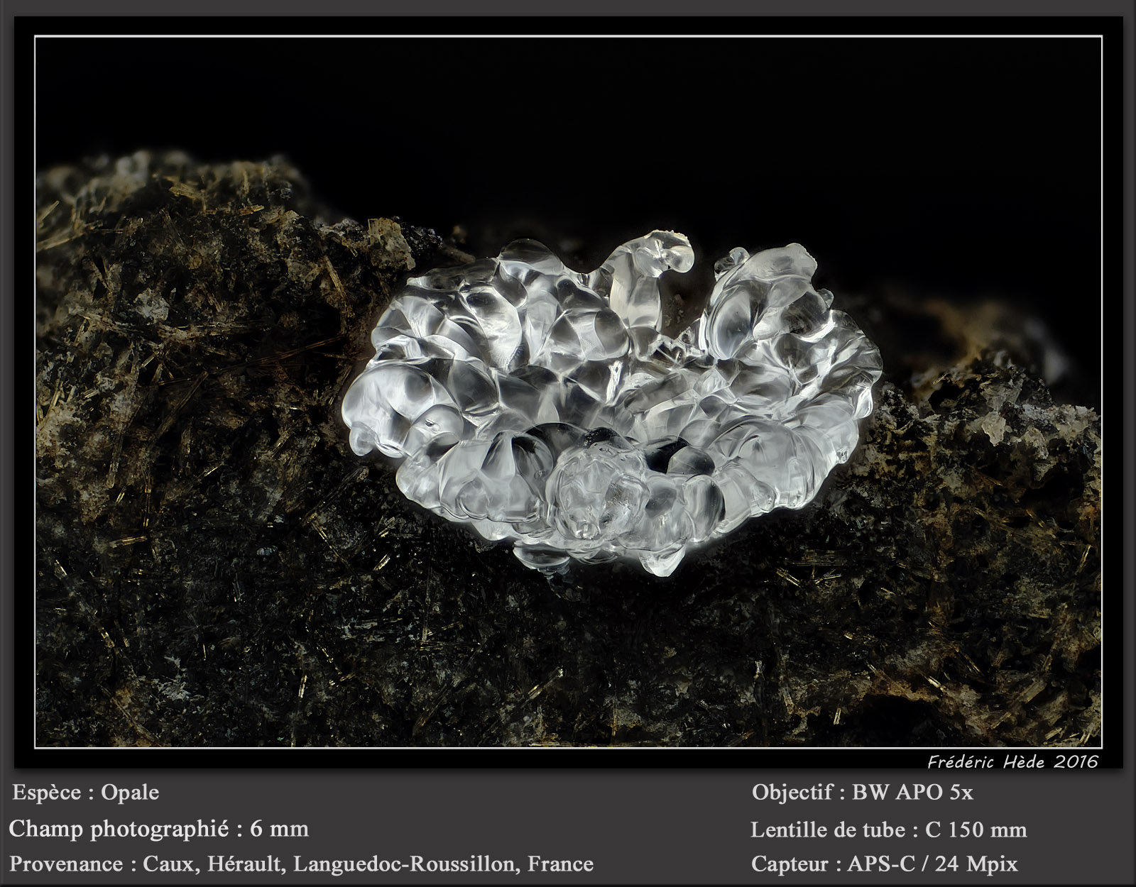 Opal
fov 6 mm
(Autor: ploum)
