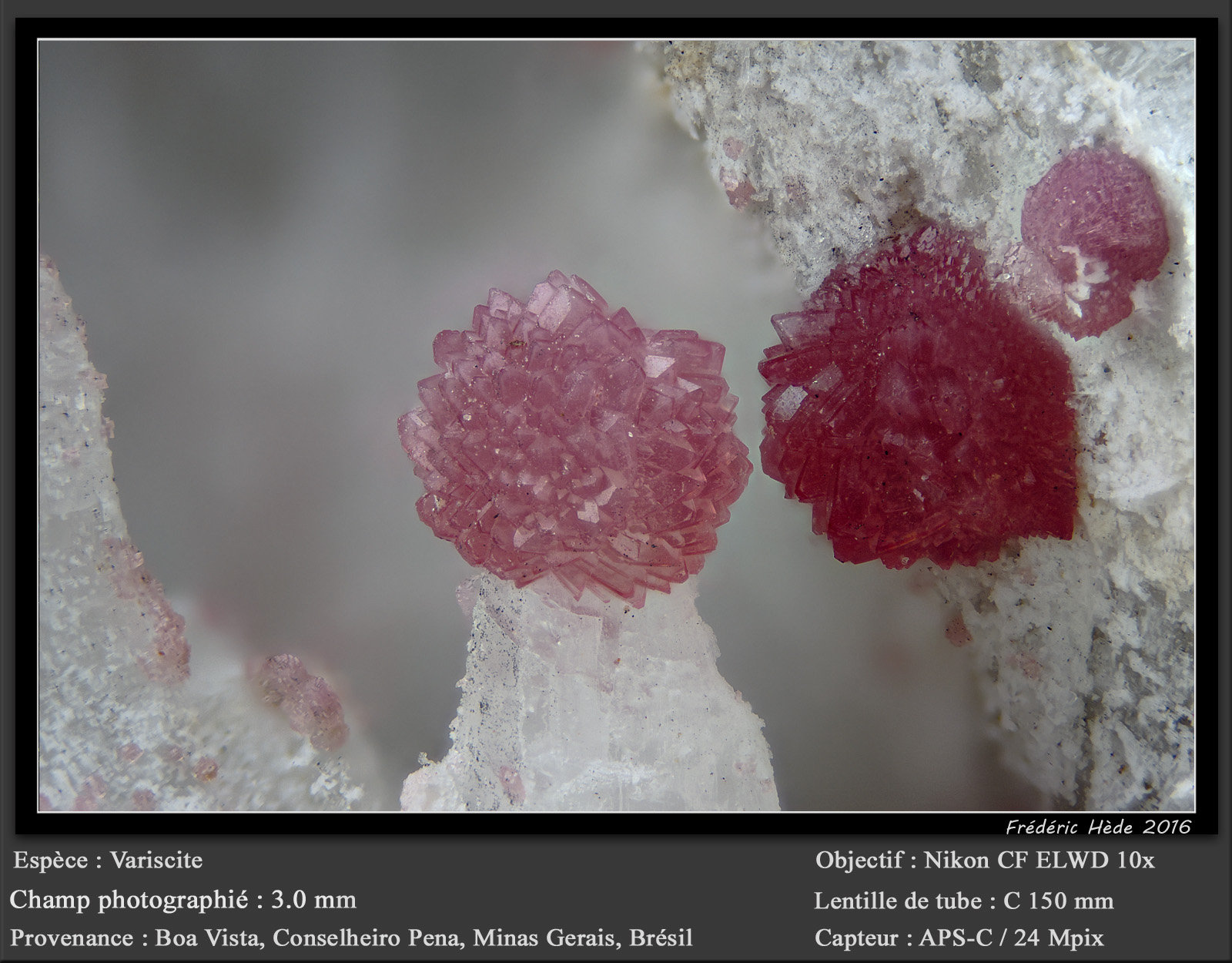 Variscite
fov 3.0 mm
(Autor: ploum)