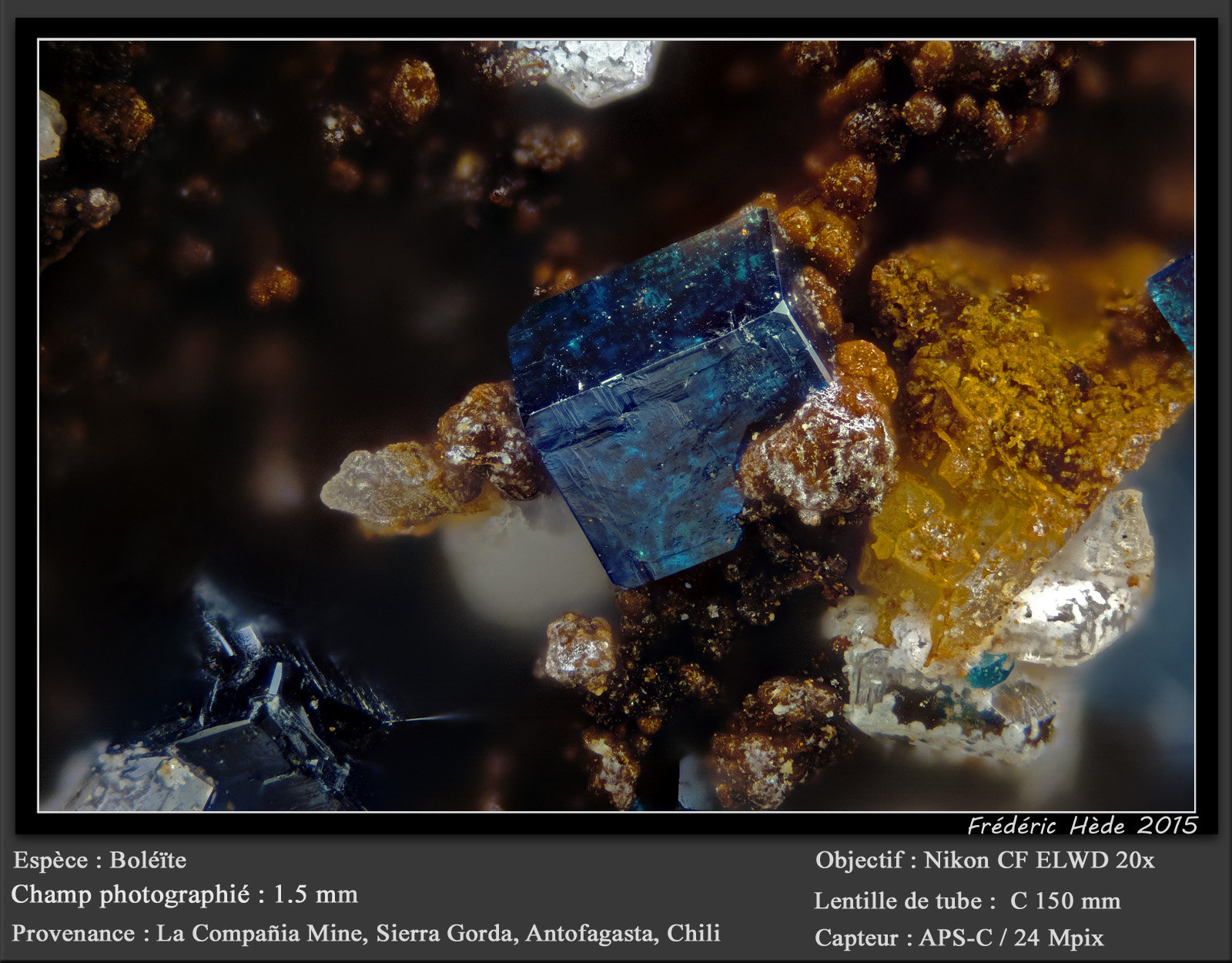 Boleite
fov 1.5 mm
(Autor: ploum)
