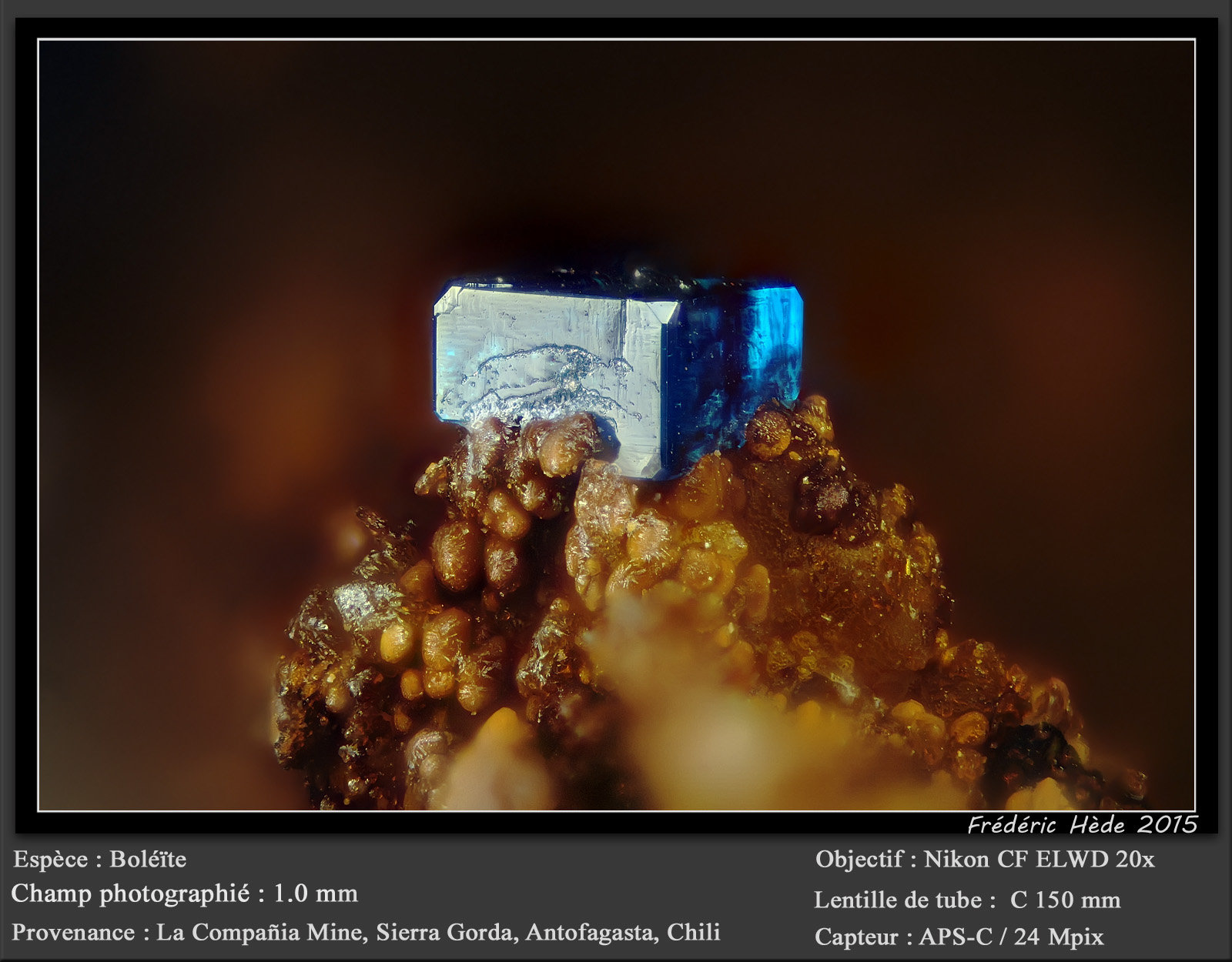 Boleite
fov 1.0 mm
(Autor: ploum)