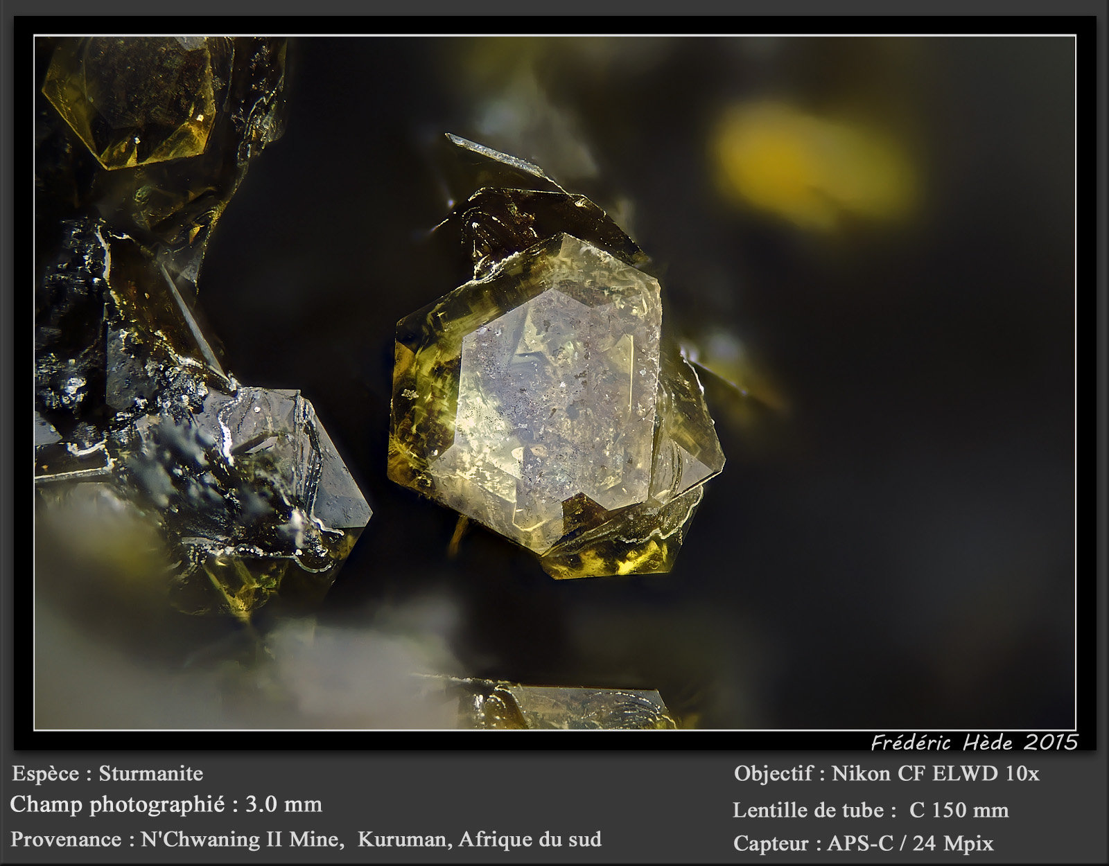 Sturmanite
fov 3 mm
(Autor: ploum)