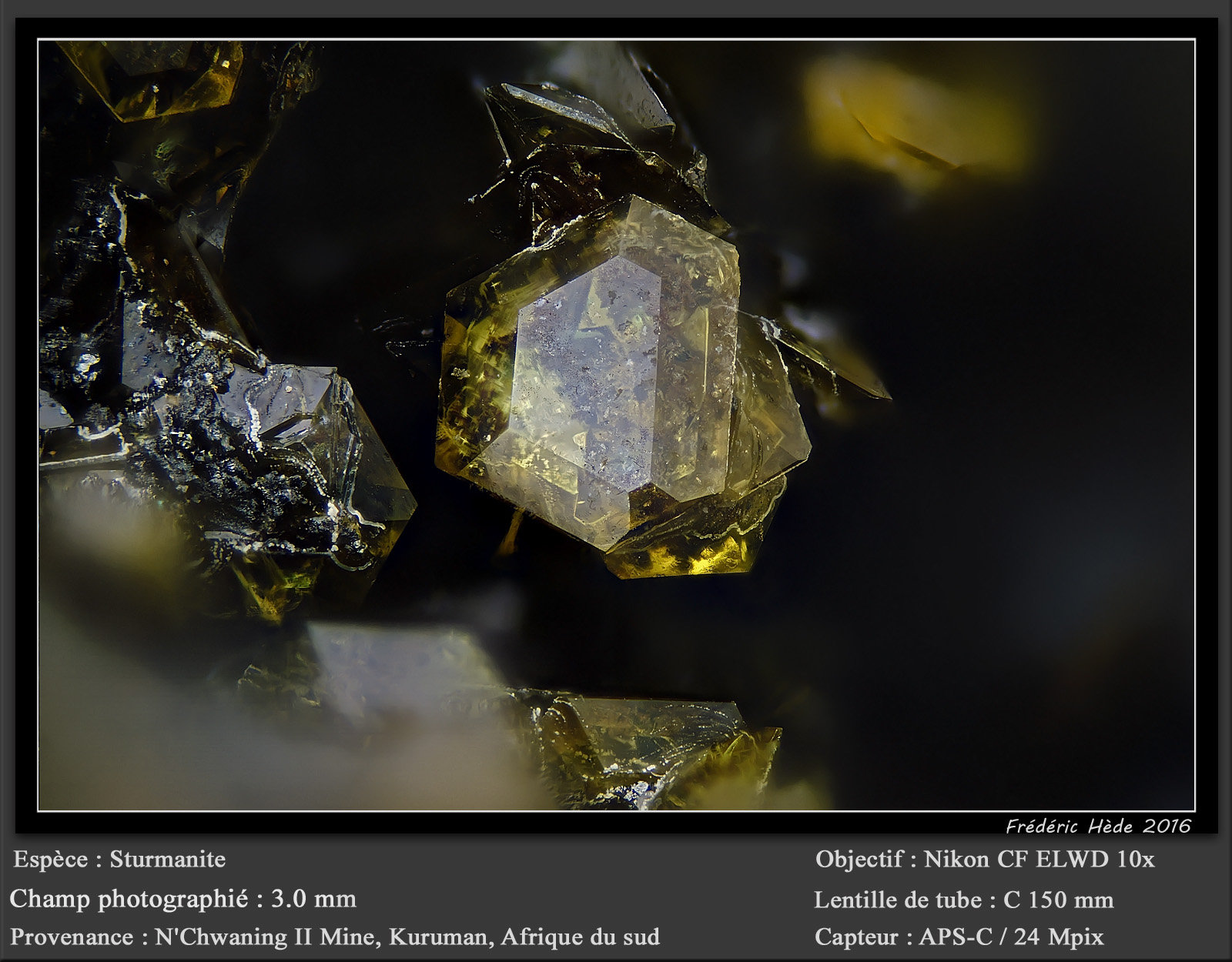 Sturmanite
fov 3.0 mm
(Autor: ploum)