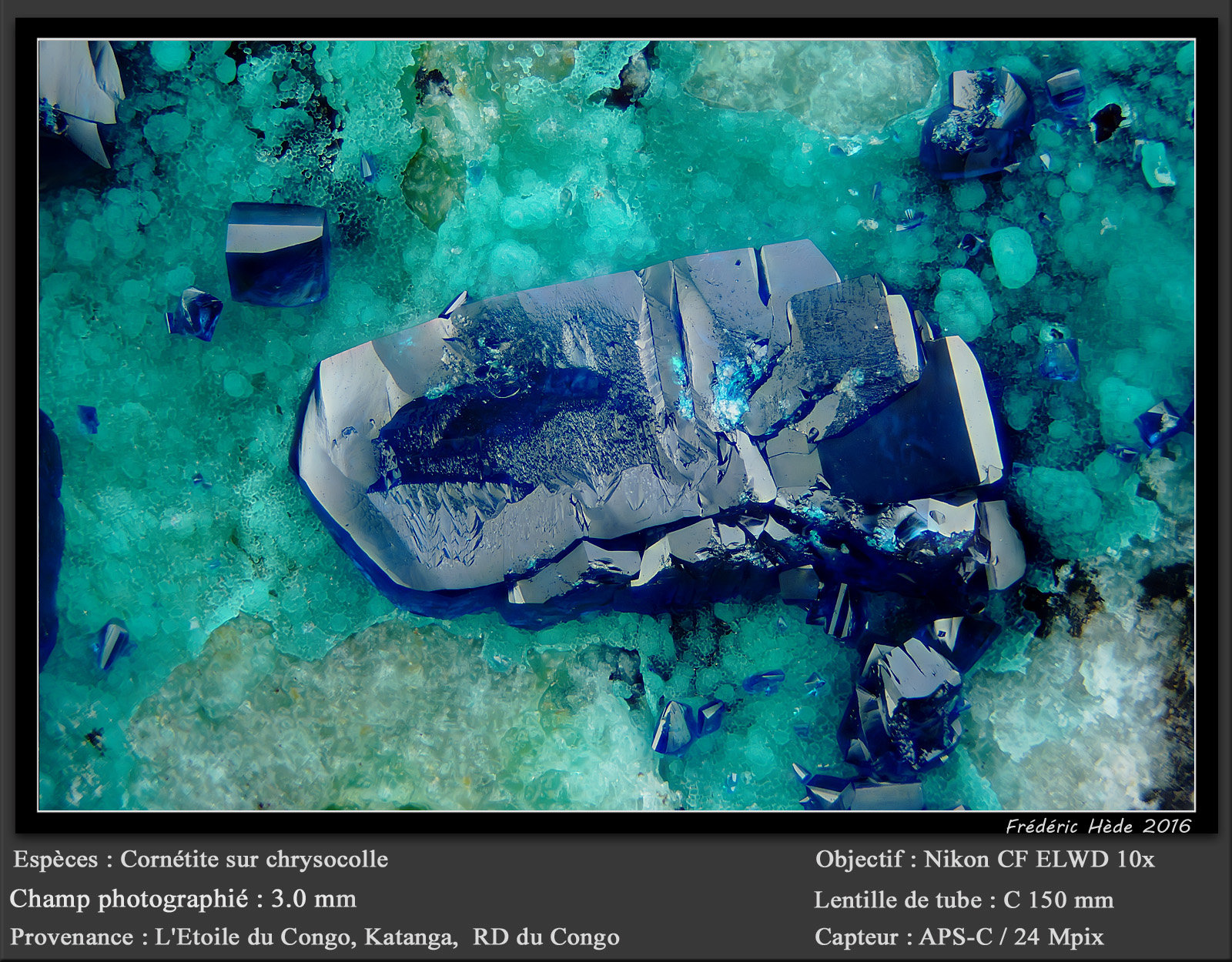 Cornetite
fov 3.0 mm
(Autor: ploum)