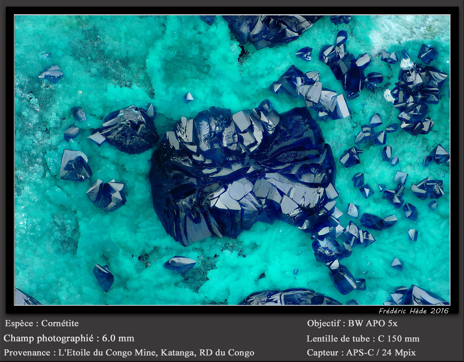 Cornetite
fov 6 mm
(Autor: ploum)