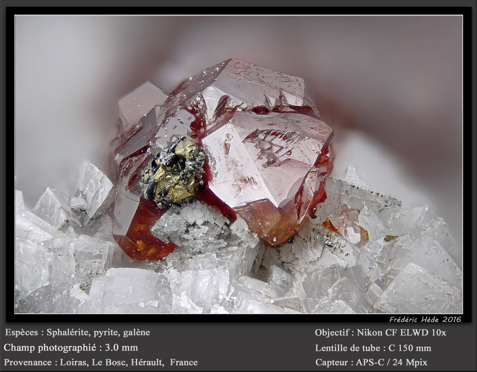 Sphalerite, Pyrite, Galena and Dolomite
fov 3.0 mm
(Autor: ploum)
