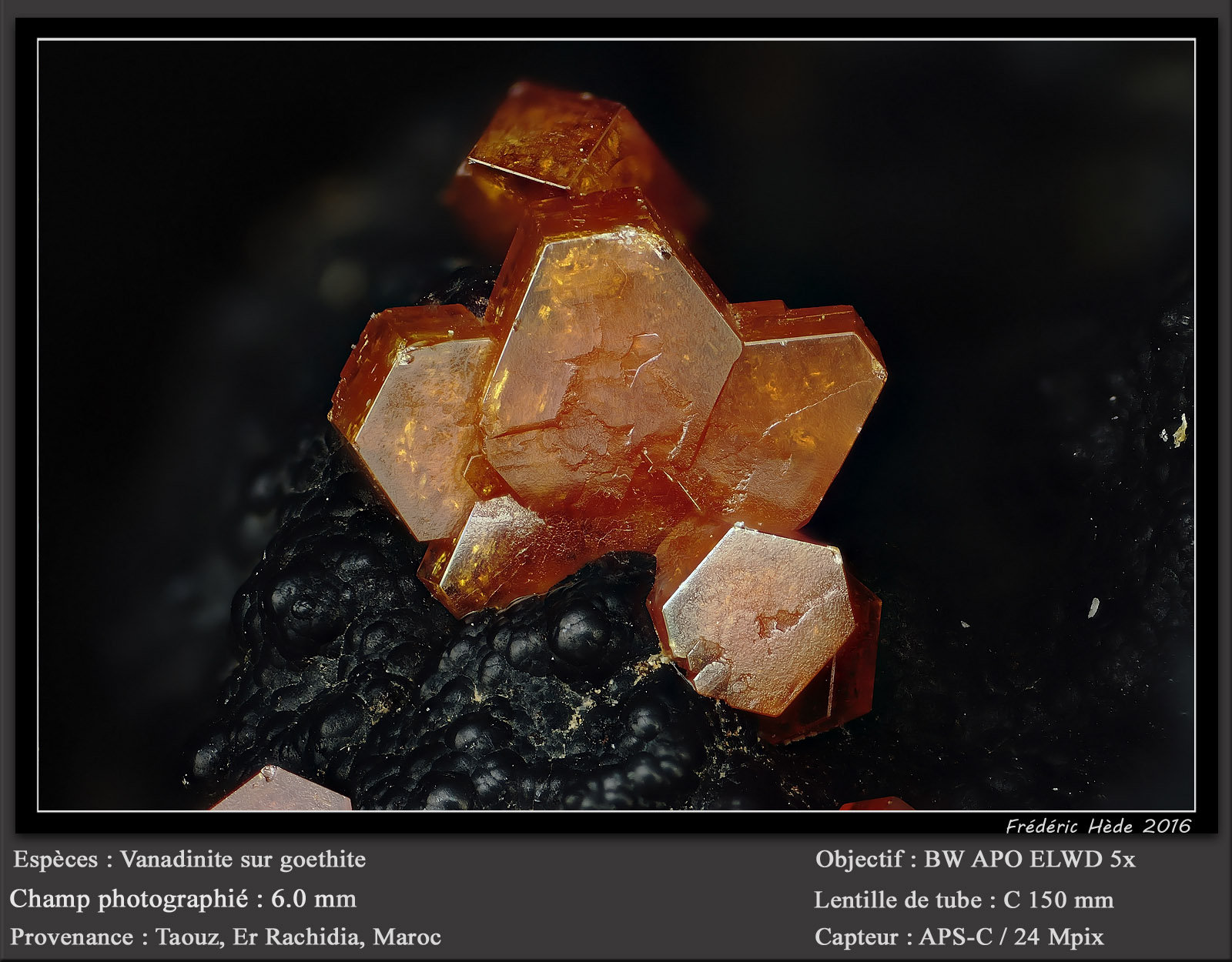 Vanadinite
fov 6.0 mm
(Autor: ploum)