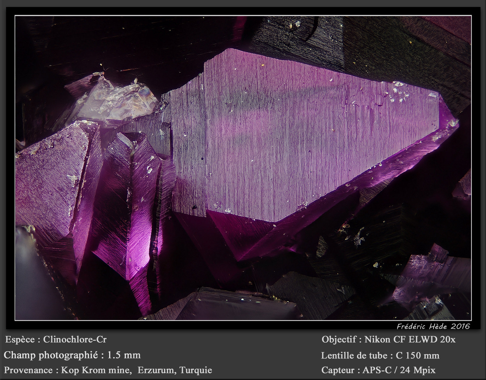 Chromian Clinochlore
fov 1.5 mm
(Autor: ploum)