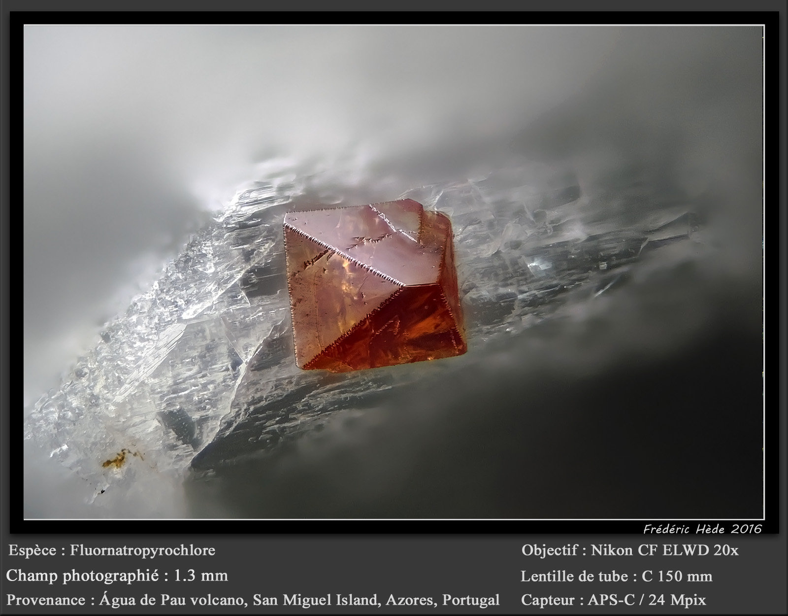 Fluornatropyrochlore
fov 1.3 mm
(Autor: ploum)