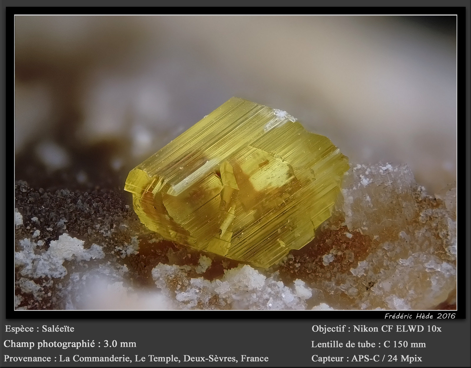 Saléeite
fov 3.0 mm
(Autor: ploum)