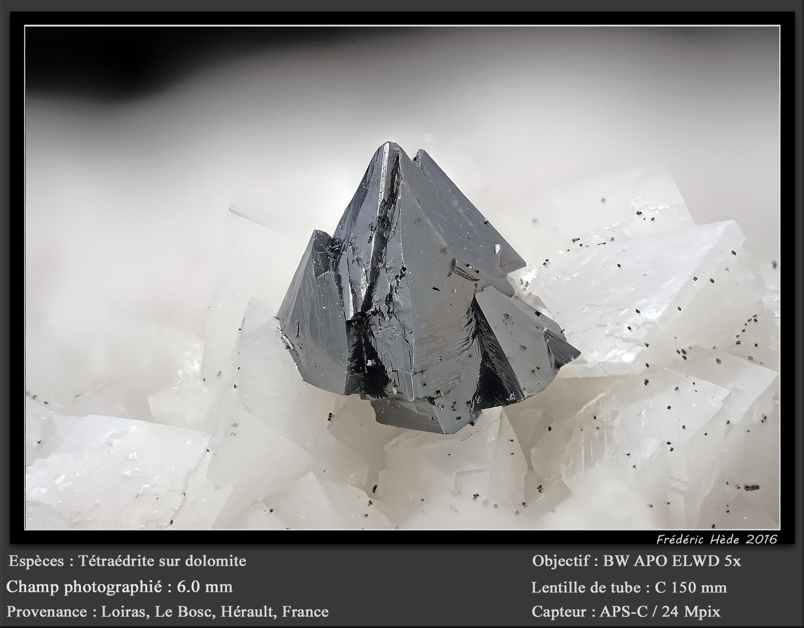 Tetrahedrite
fov 6.0 mm
(Autor: ploum)
