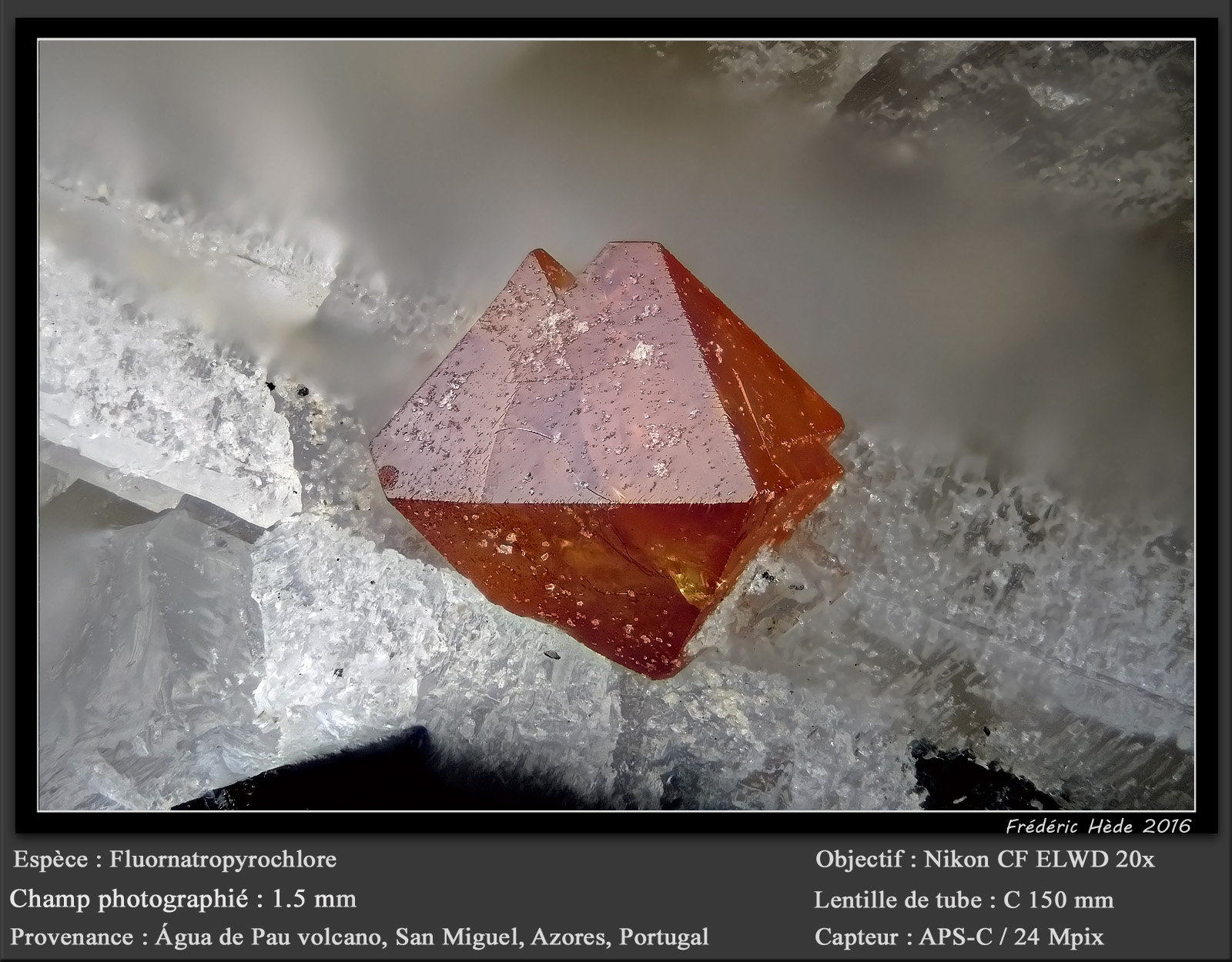 Fluornatropyrochlore
fov 1.5 mm
(Autor: ploum)