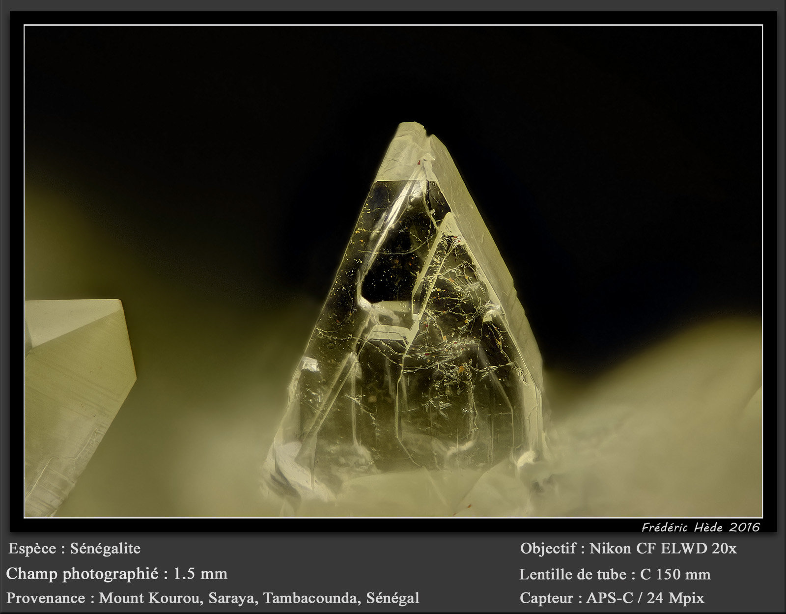 Senegalite
fov 1.5 mm
(Autor: ploum)