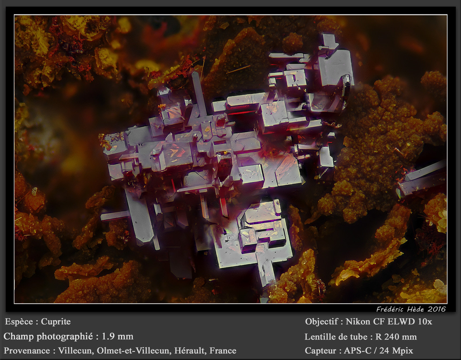 Cuprite
fov 1.9 mm
(Autor: ploum)