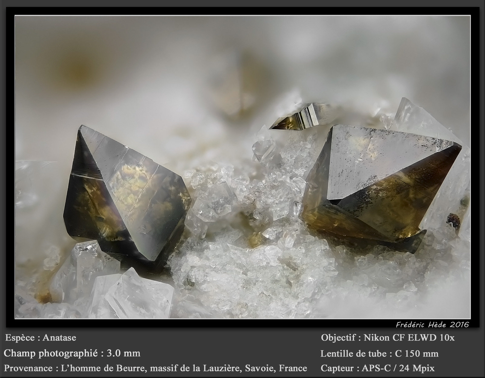 Anatase
fov 3.0 mm
(Autor: ploum)