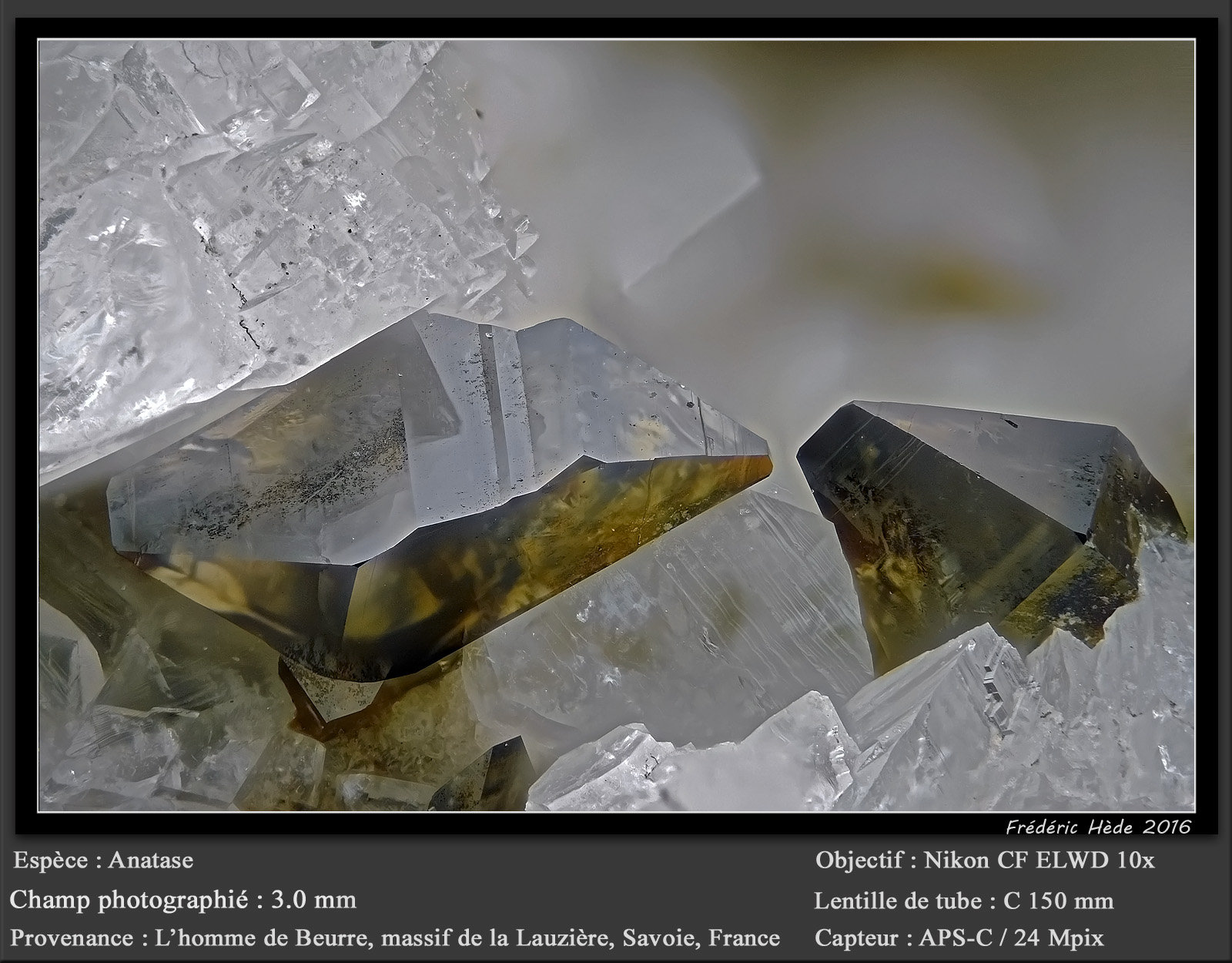 Anatase
fov 3.0 mm
(Autor: ploum)