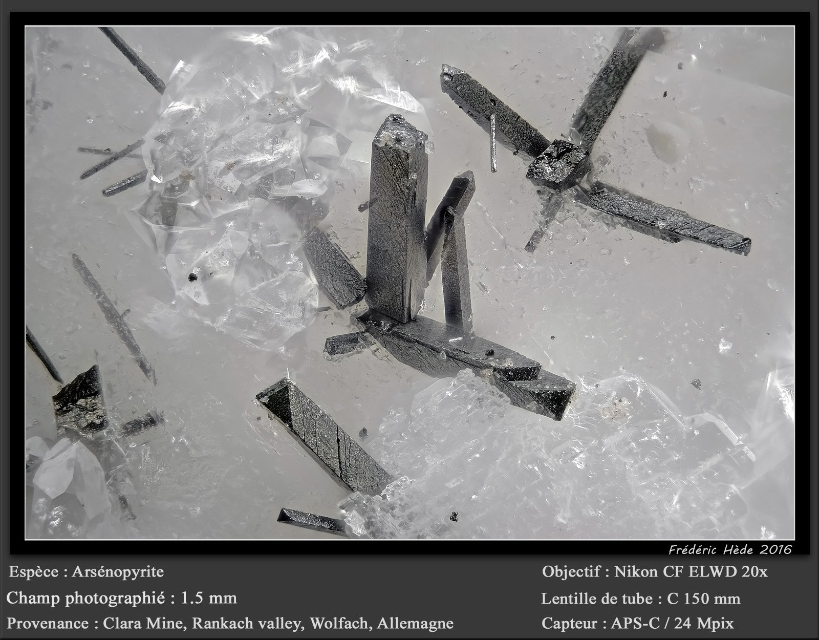 Arsenopyrite
fov 1.5 mm
(Autor: ploum)