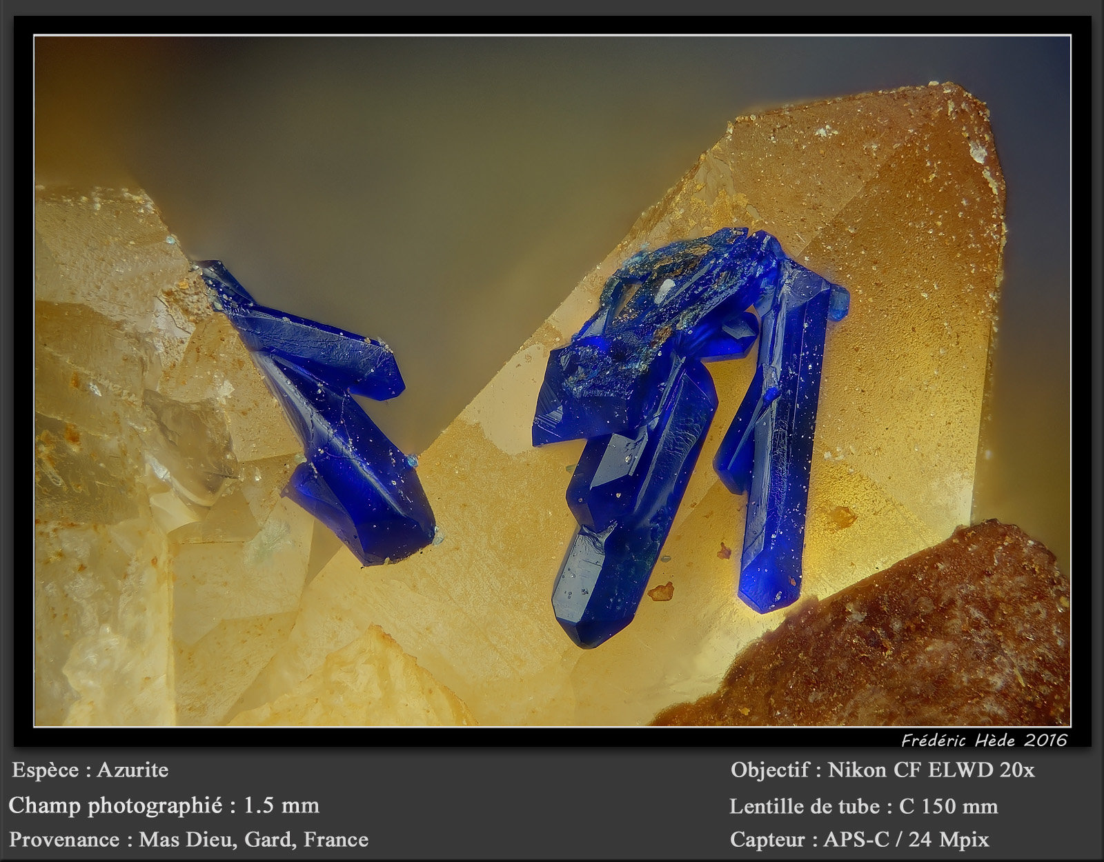 Azurite
fov 1.5 mm
(Autor: ploum)