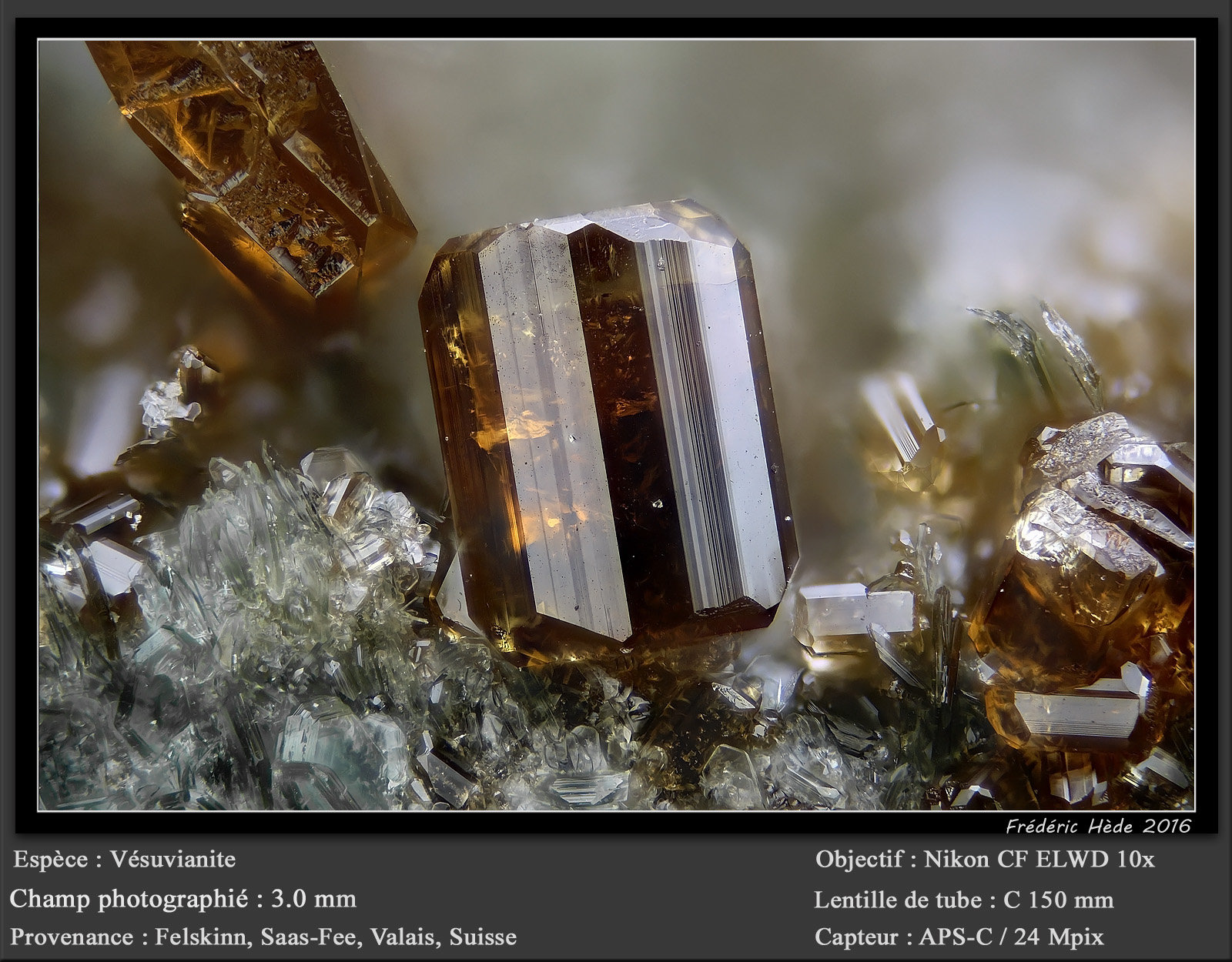 Vesuvianite
fov 3.0 mm
(Autor: ploum)
