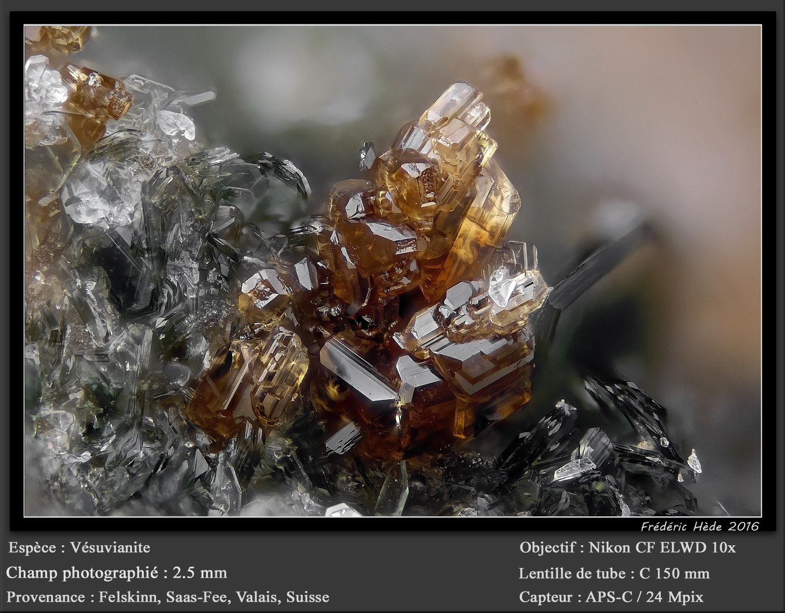 Vesuvianite
fov 2.5 mm
(Autor: ploum)