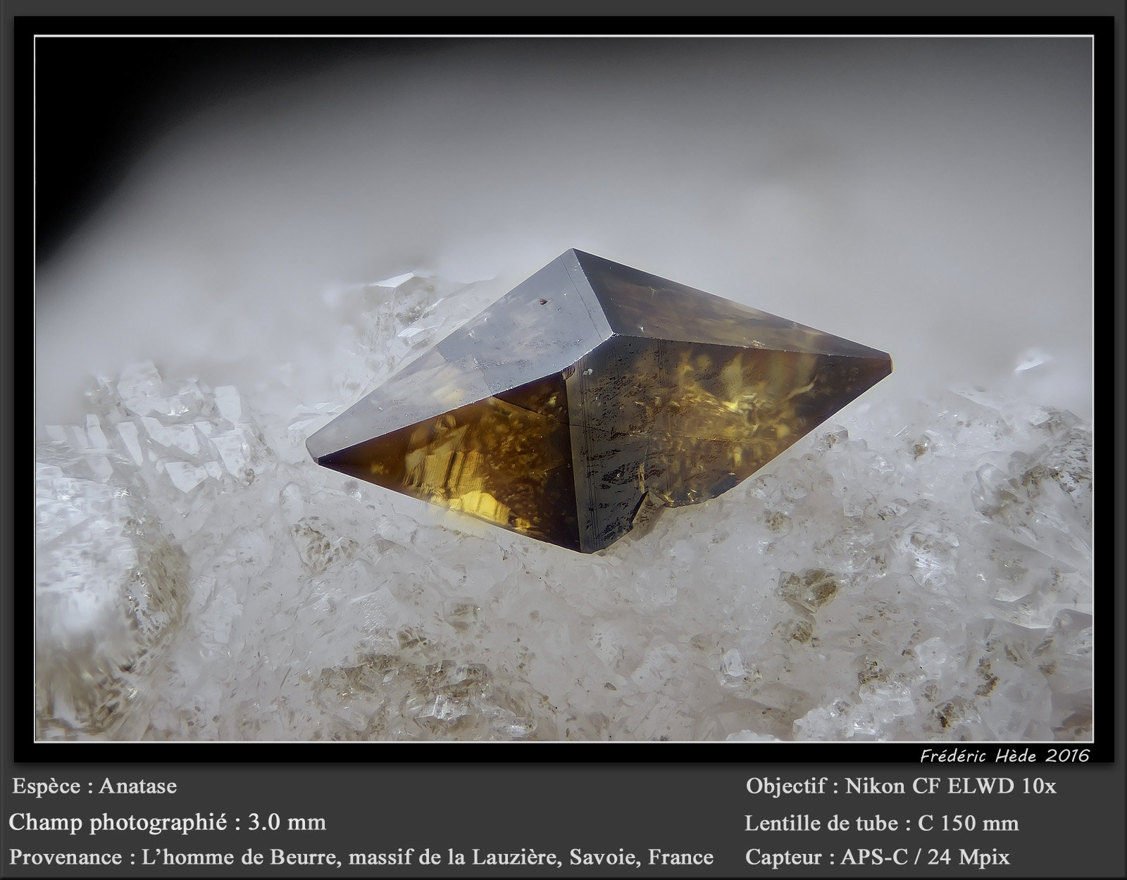 Anatase
fov 3.0 mm
(Autor: ploum)