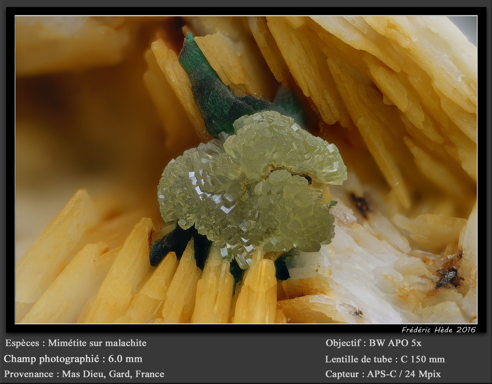 Mimetite
fov 6.0 mm
(Autor: ploum)