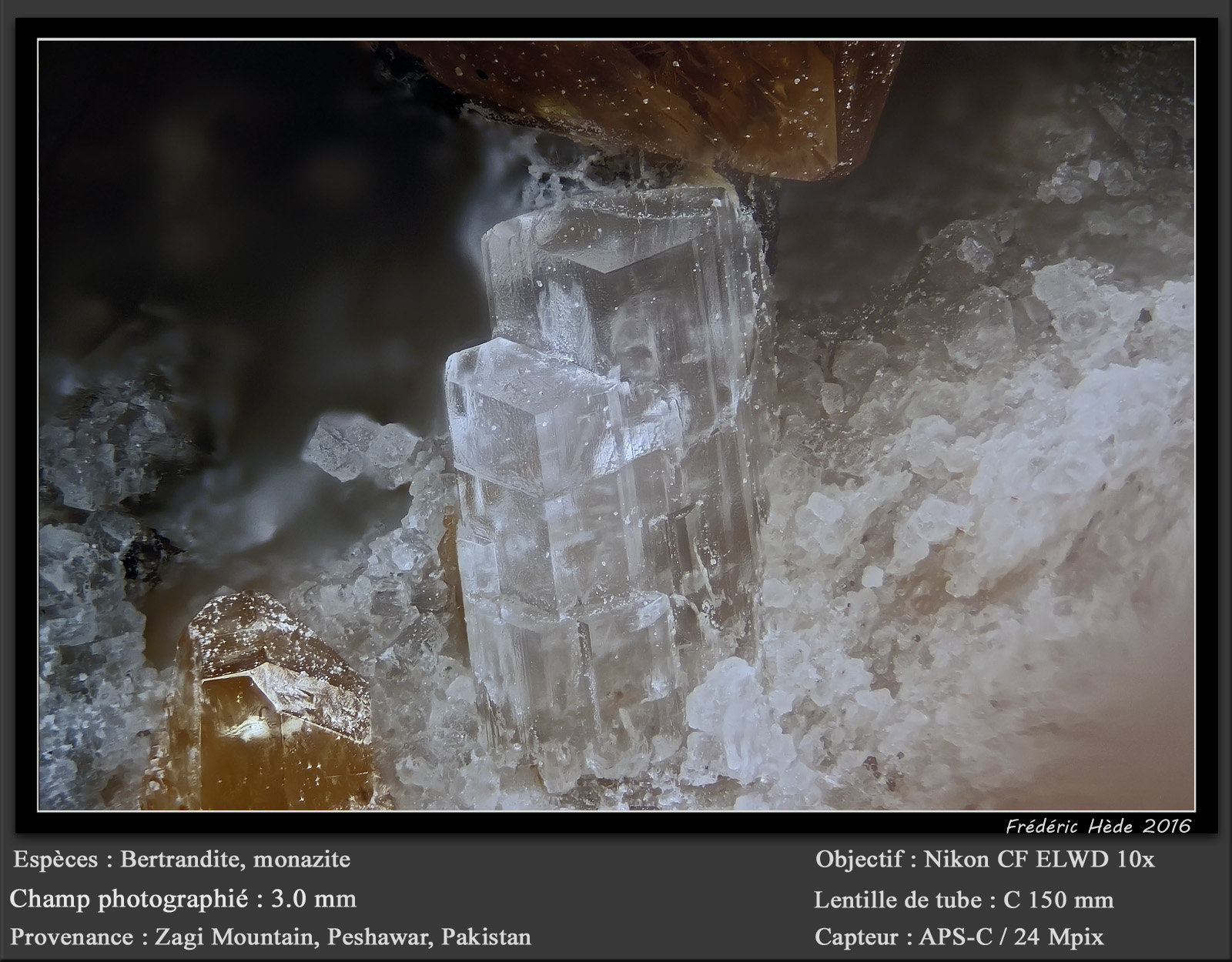 Bertrandite
fov 3.0 mm
(Autor: ploum)