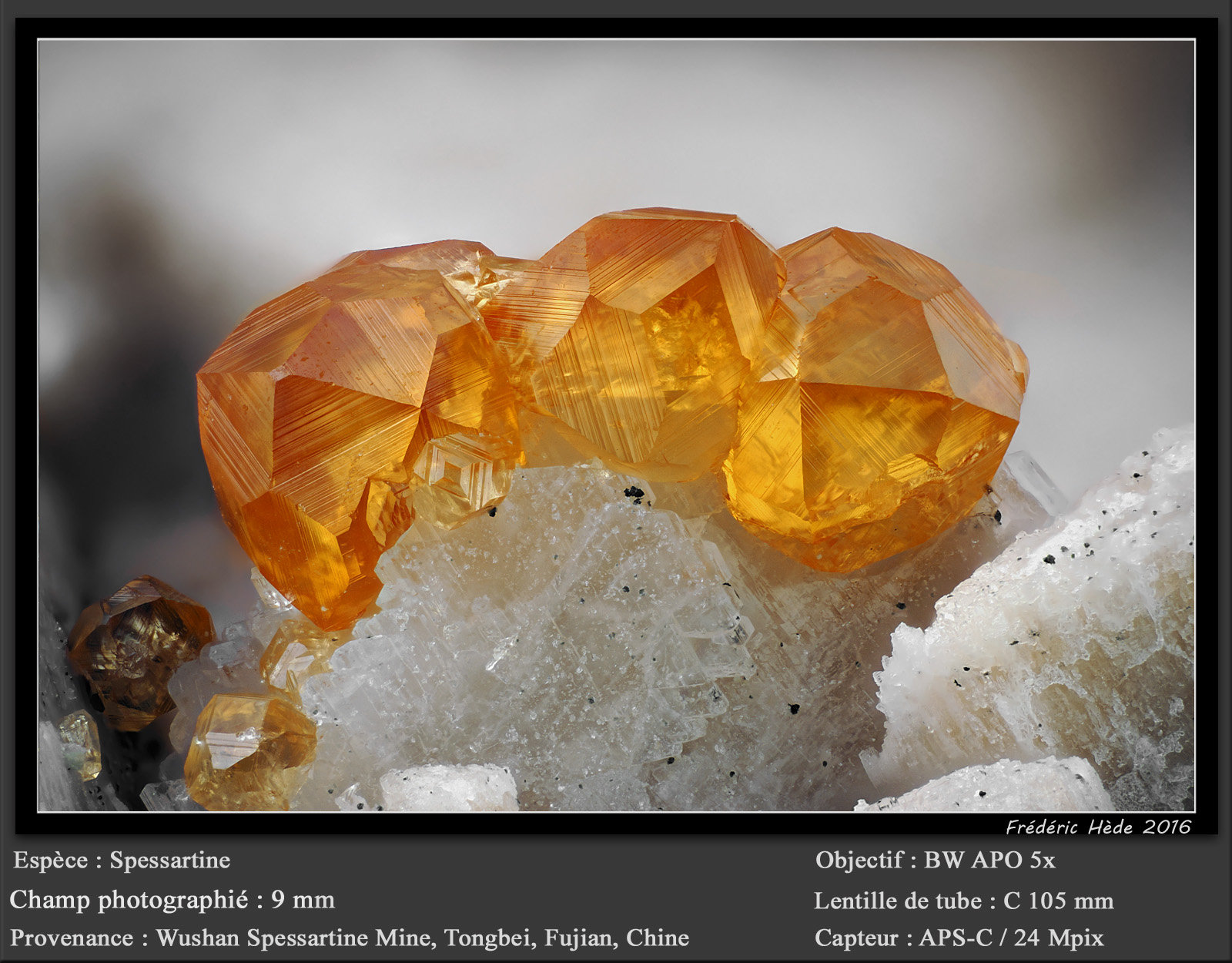 Garnet (Var : Spessartine)
fov 9.0 mm
(Autor: ploum)