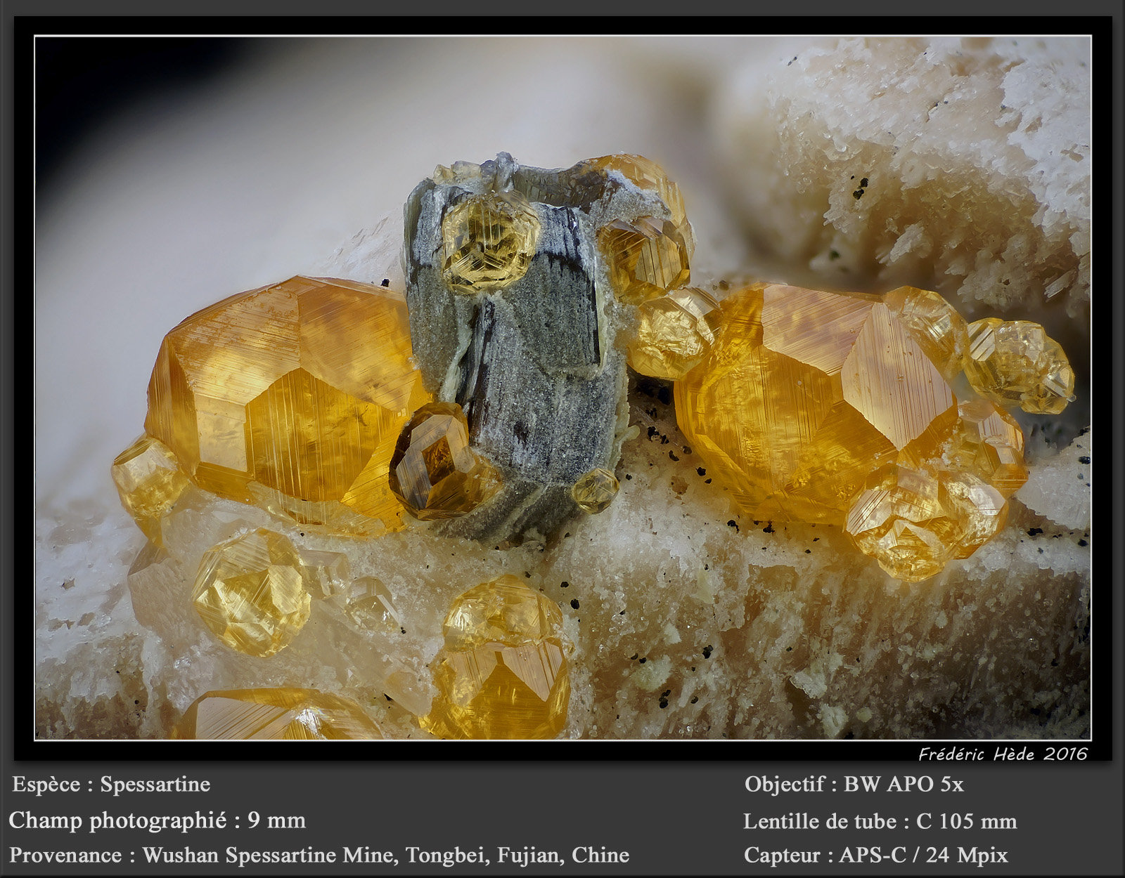 Garnet (Var : Spessartine)
fov 9 mm
(Autor: ploum)