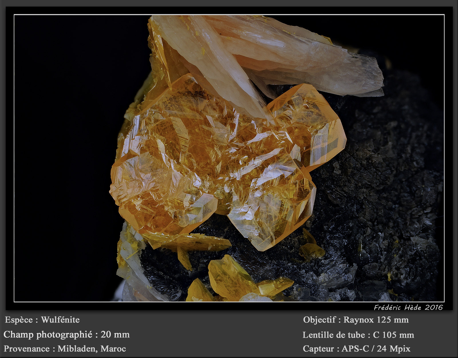 Wulfenite
fov 20 mm
(Autor: ploum)