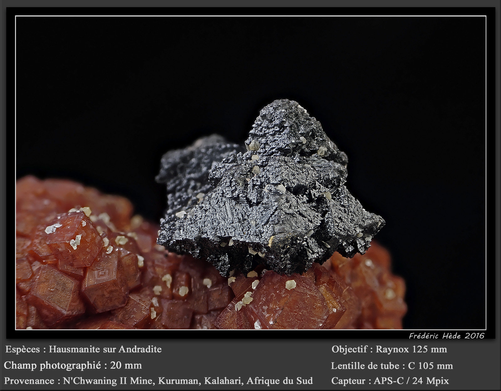 Hausmannite on Andradite
fov 20 mm
(Autor: ploum)