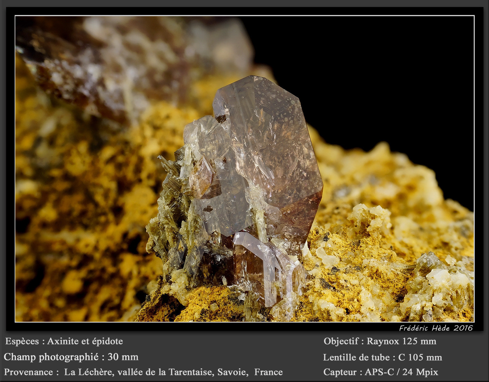 Axinite-(Fe) with Epidote
fov 30 mm
(Autor: ploum)