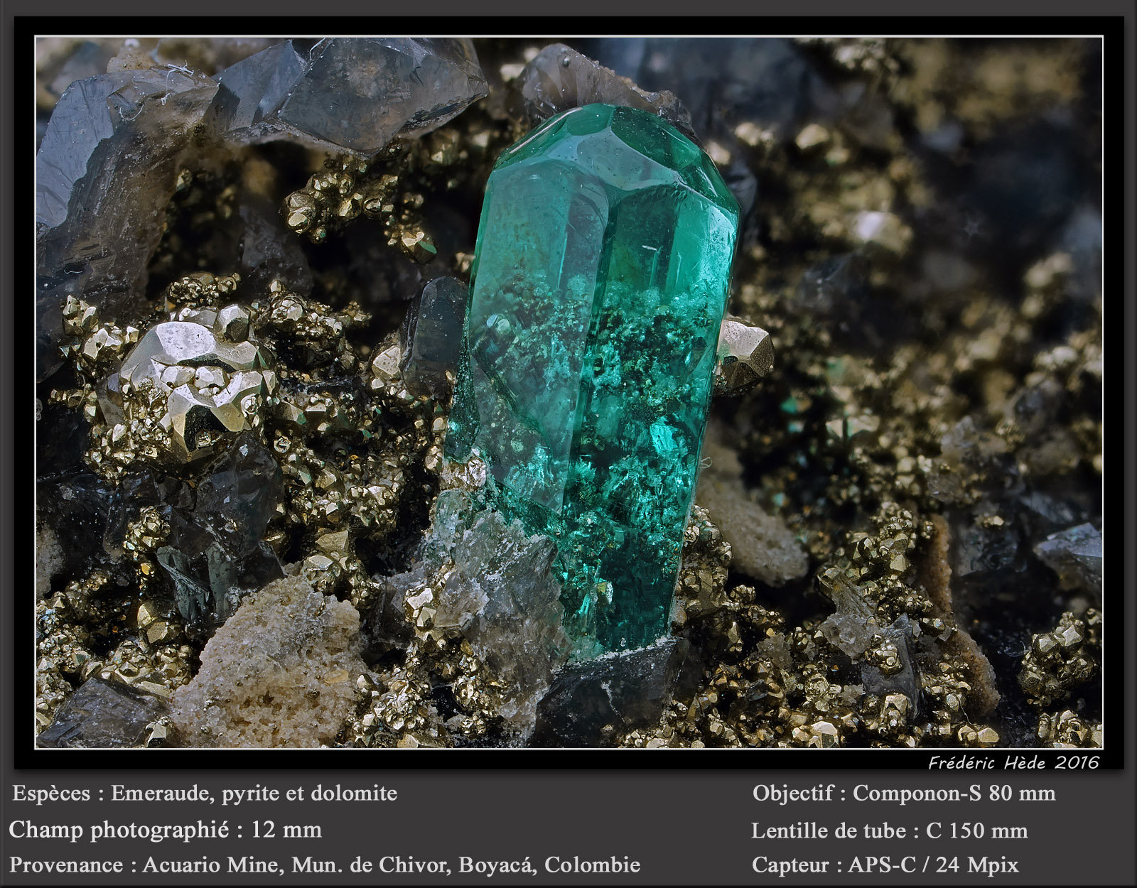 Beryl (variety emerald) with Pyrite and Dolomite
fov 12 mm
(Autor: ploum)