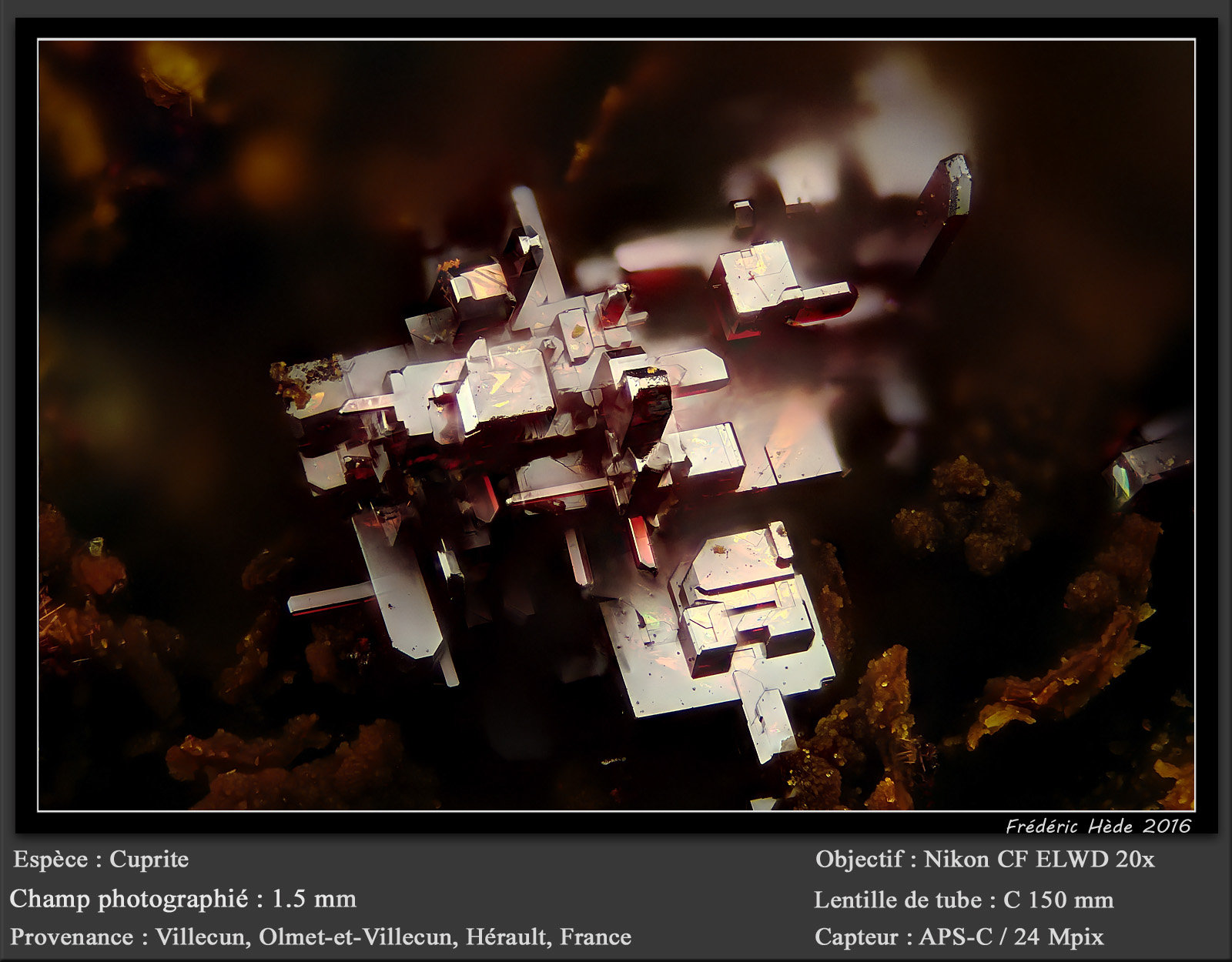 Cuprite
fov 1.5 mm
(Autor: ploum)