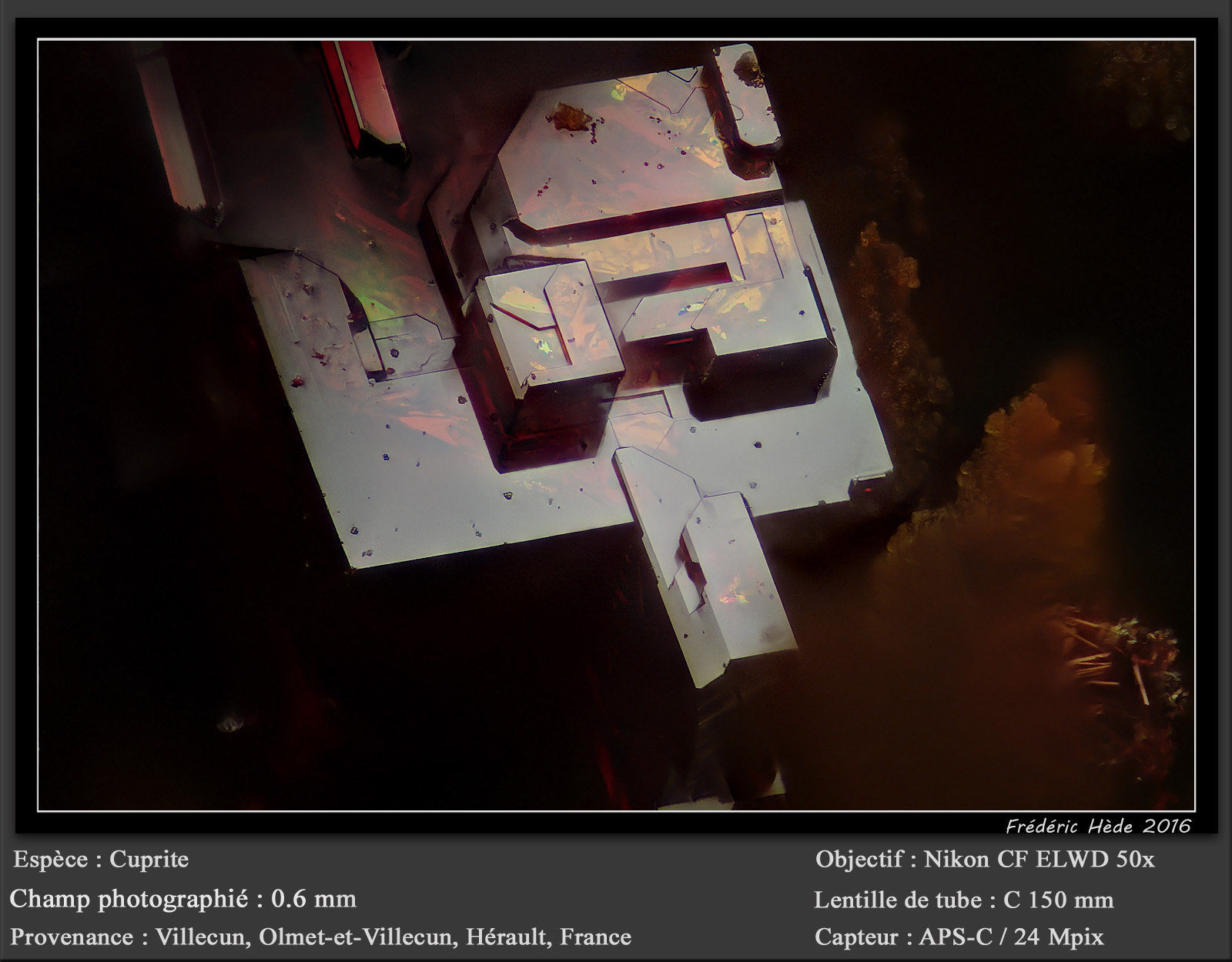 Cuprite
fov 0.6 mm
(Autor: ploum)