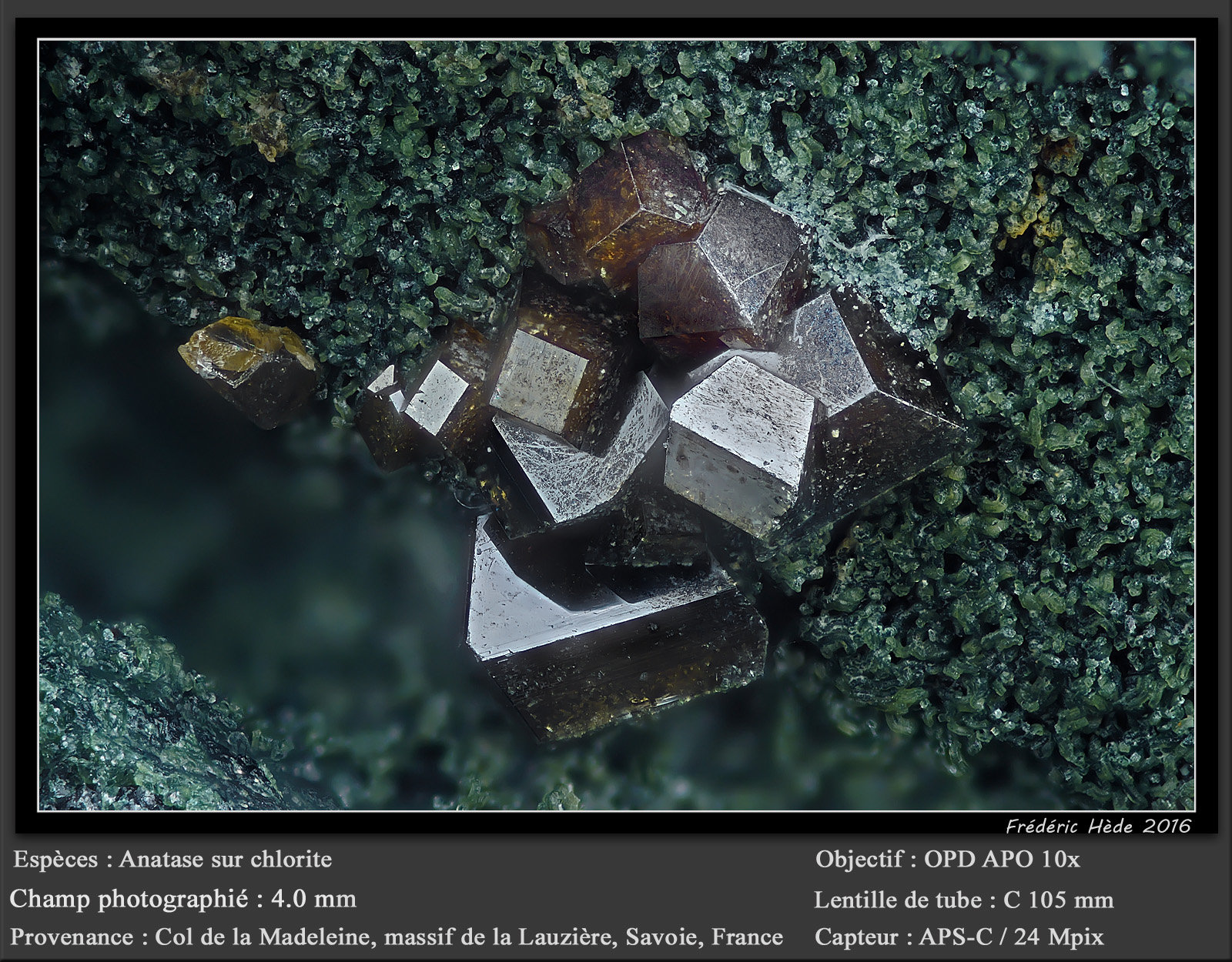 Anatase
fov 4.0 mm
(Autor: ploum)