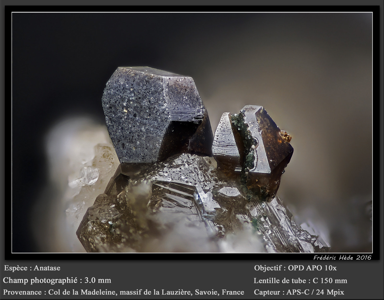 Anatase
fov 3.0 mm
(Autor: ploum)