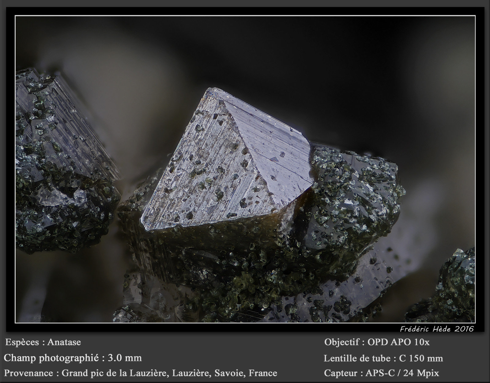 Anatase
fov 3.0 mm
(Autor: ploum)