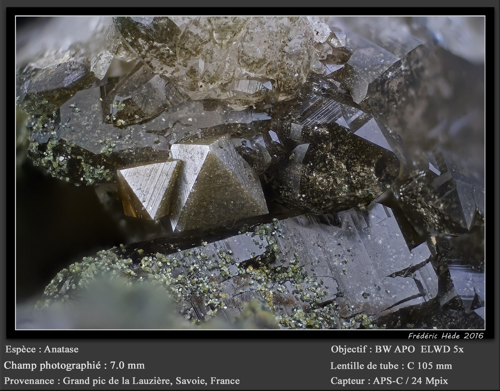 Anatase
fov 7 mm
(Autor: ploum)