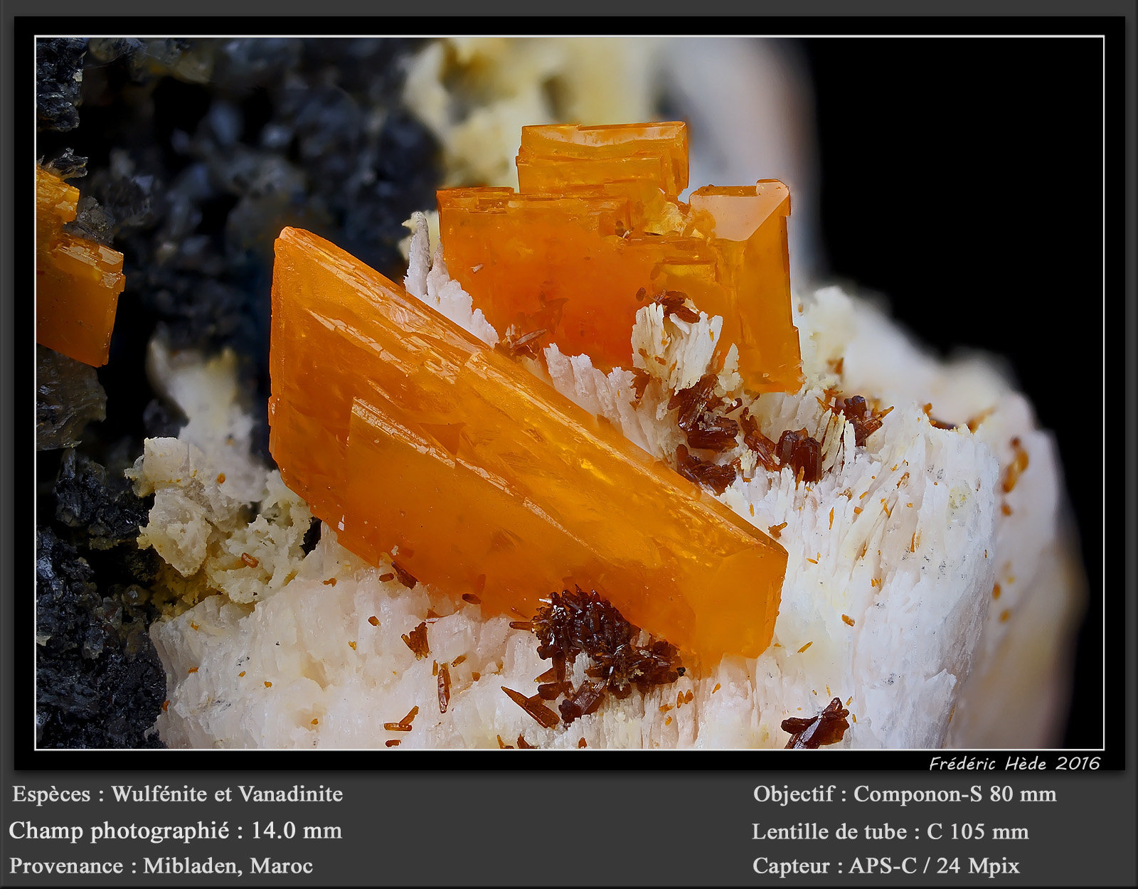 Wulfenite and Vanadinite
fov 14 mm
(Autor: ploum)