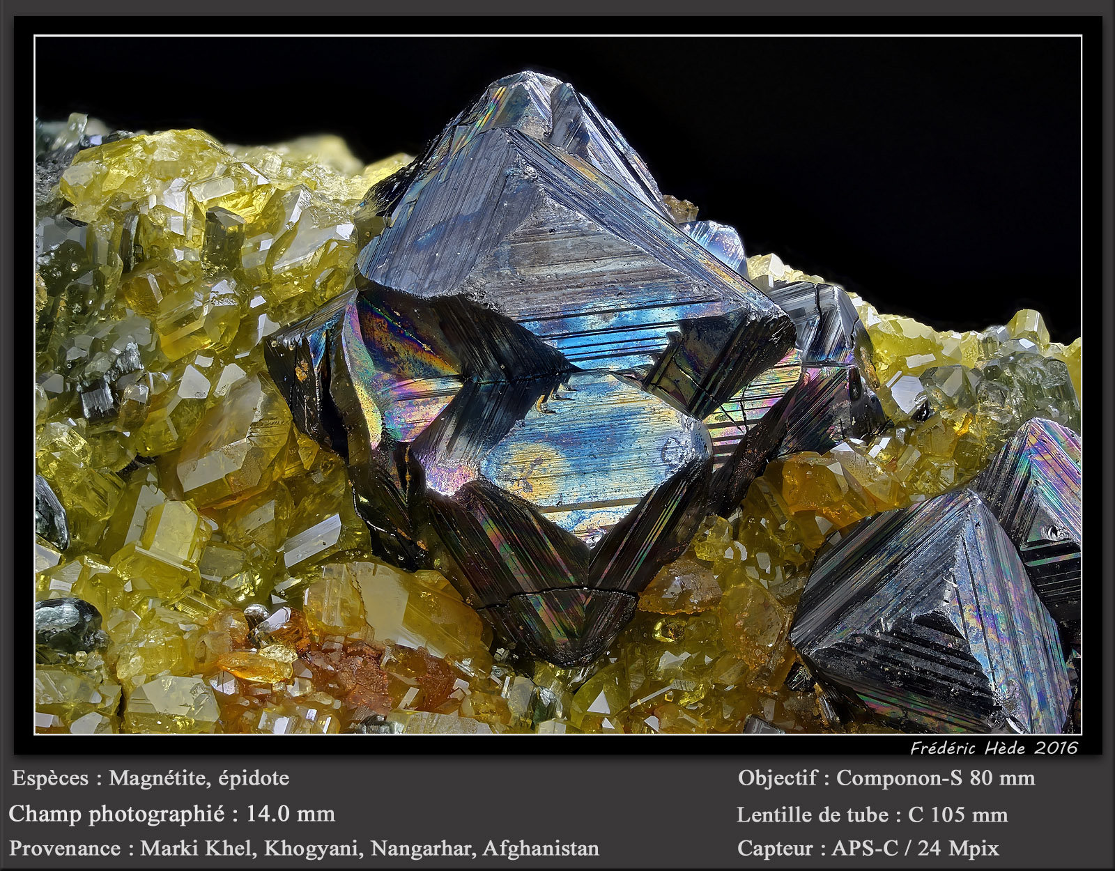 Magnetite
fov 14 mm
(Autor: ploum)