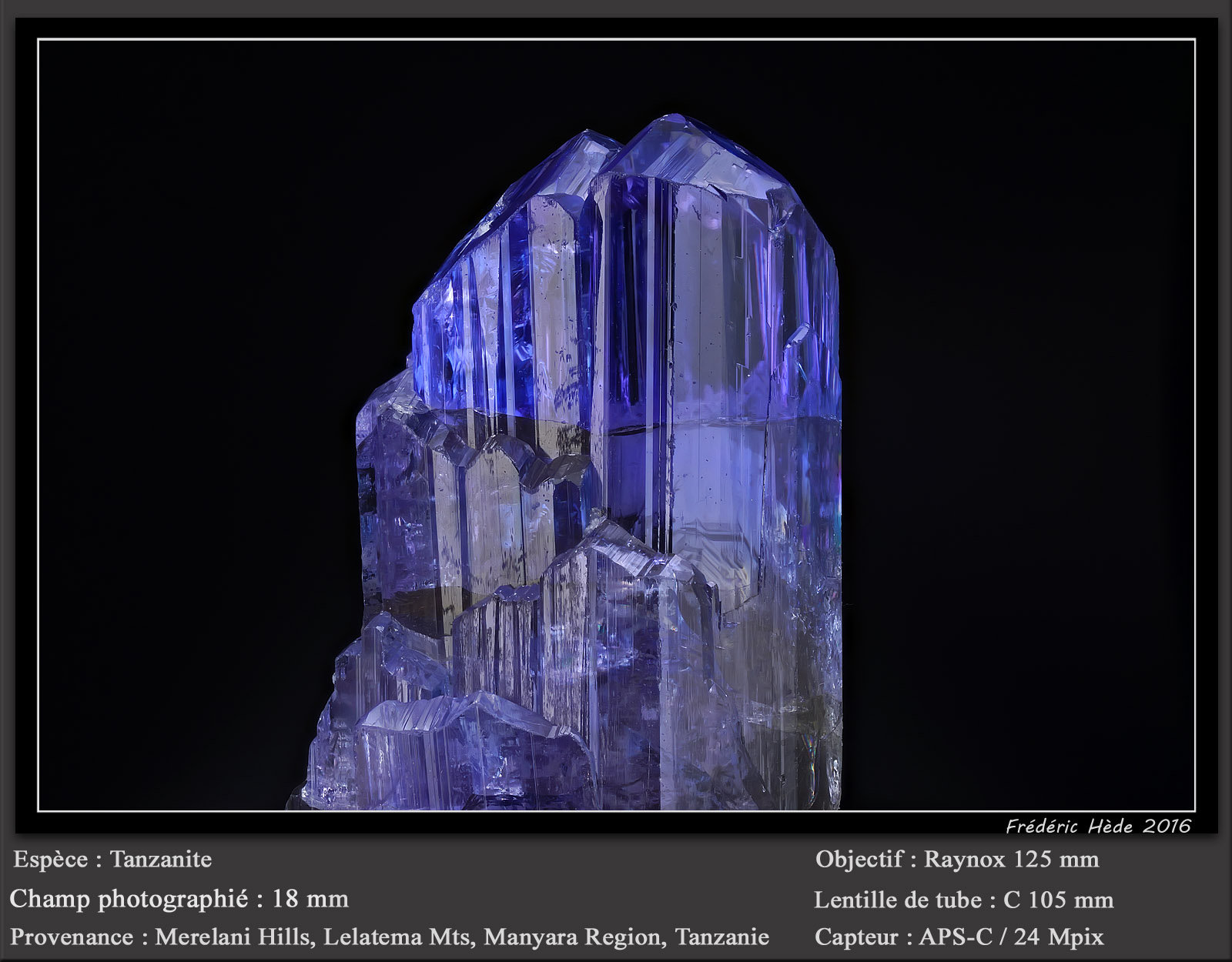 Tanzanite
fov 18 mm
(Autor: ploum)