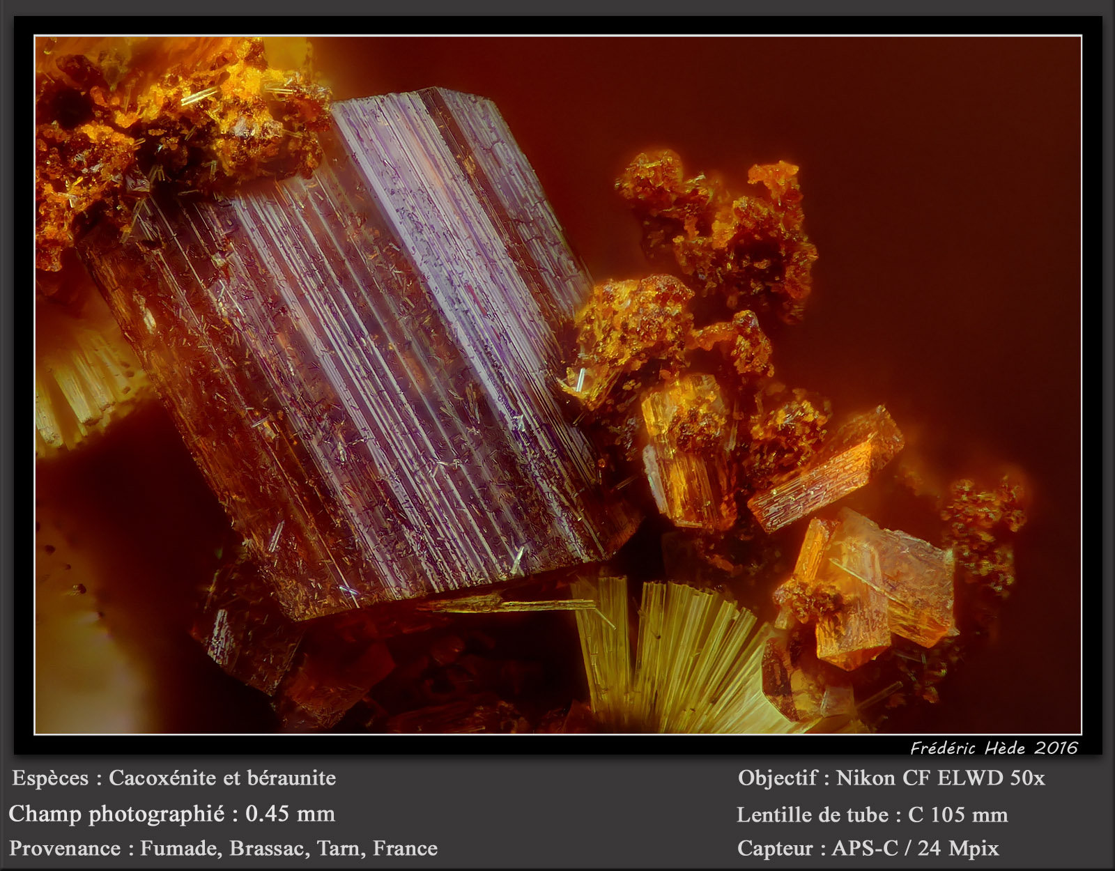 Beraunite and Cacoxenite
fov 0.45 mm
(Autor: ploum)