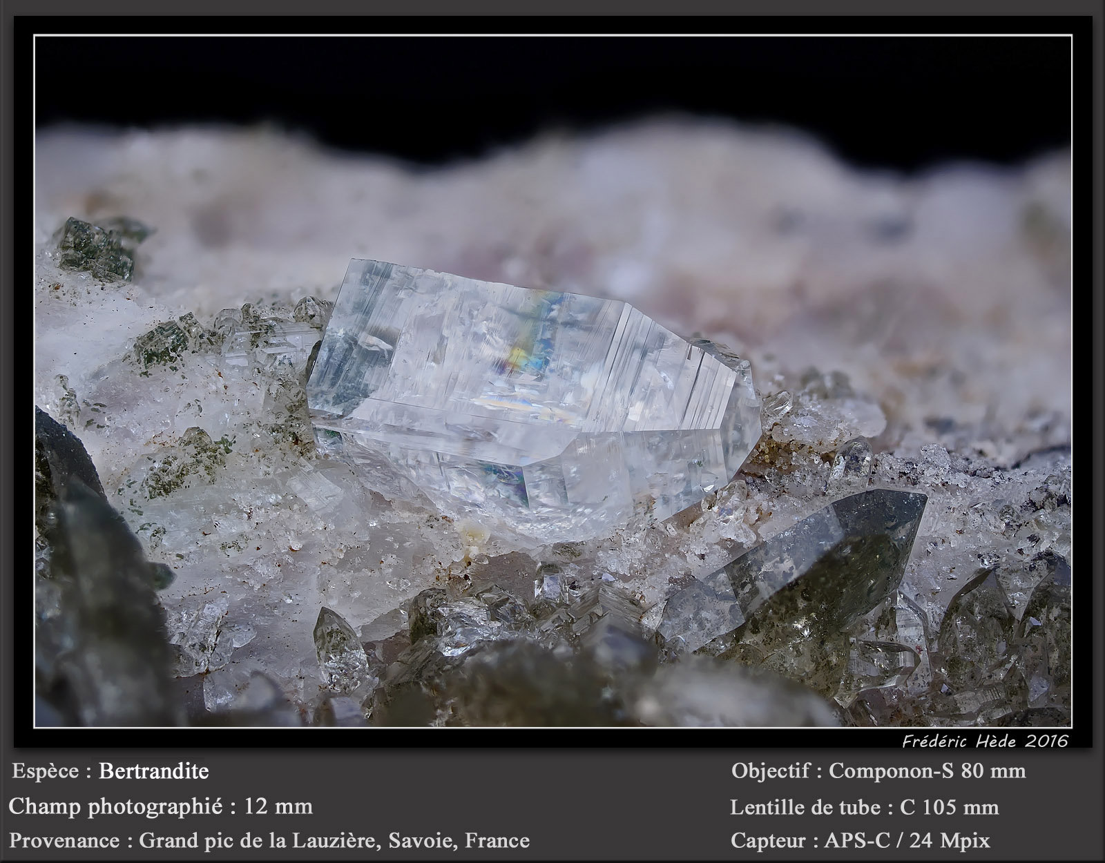 Bertrandite
fov 12 mm
(Autor: ploum)
